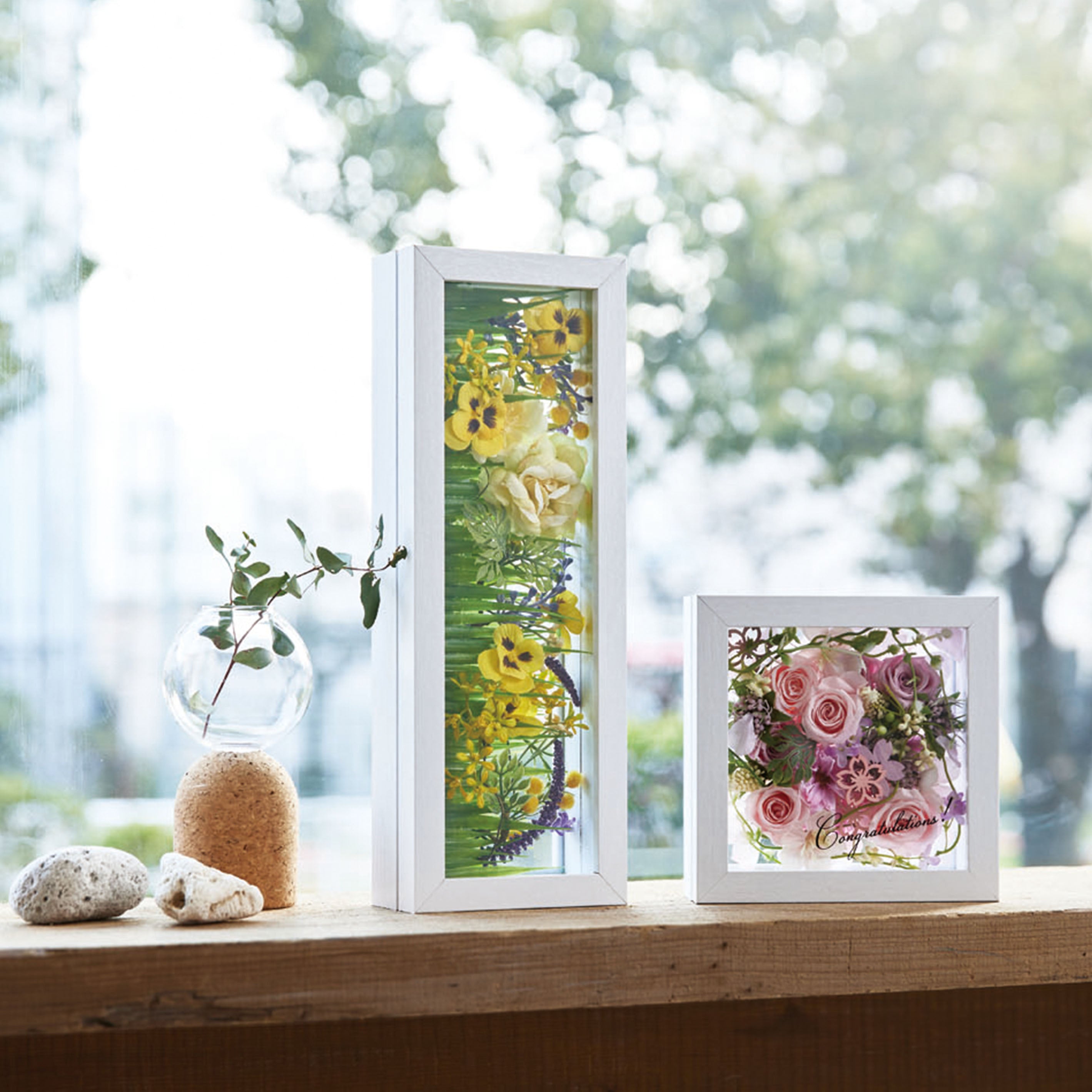 インテリアに最適!標本フレームみたいな【herbier (厚み5cm・WHITE) - エルビエ】