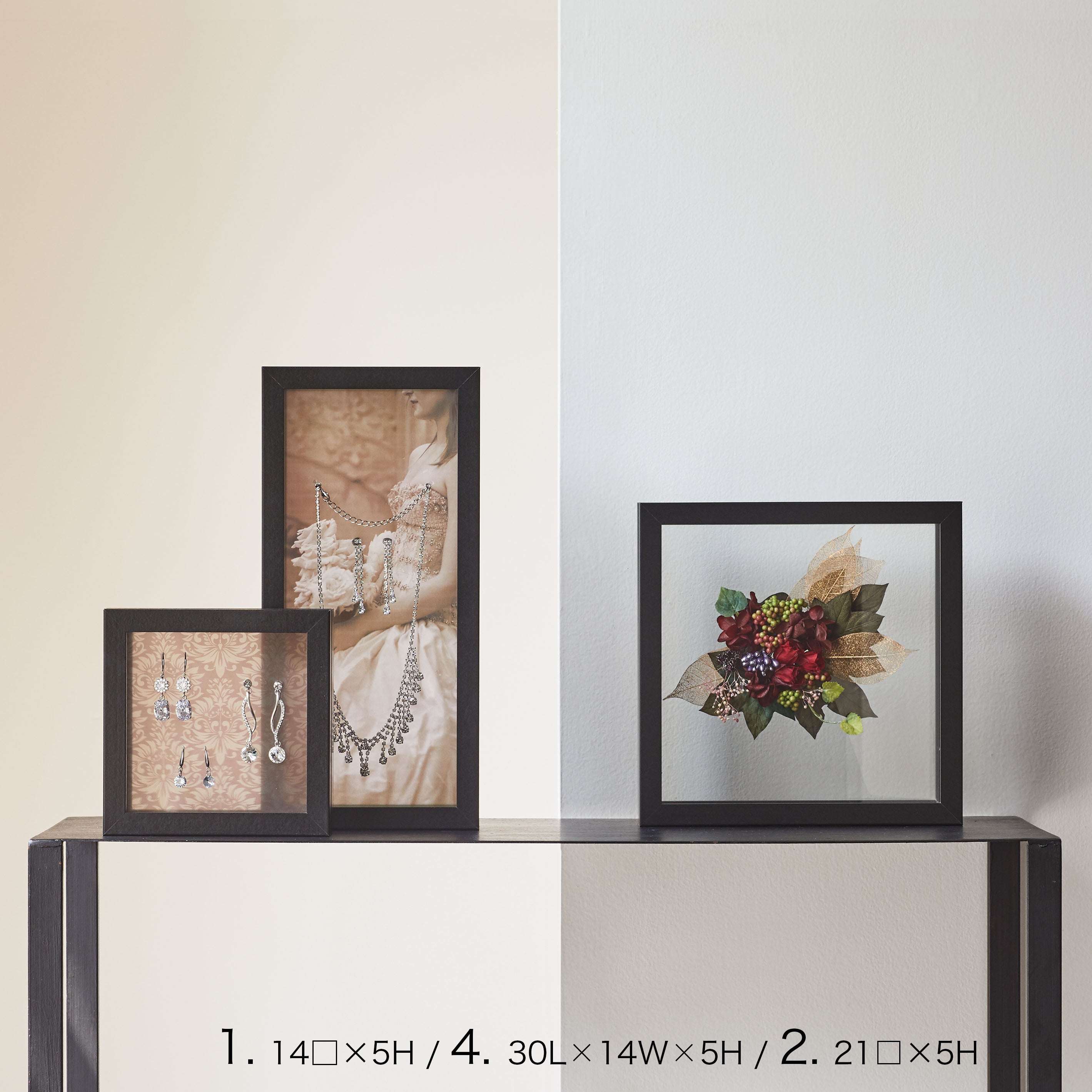 インテリアに最適!標本フレームみたいな【herbier (厚み5cm・BLACK) - エルビエ】