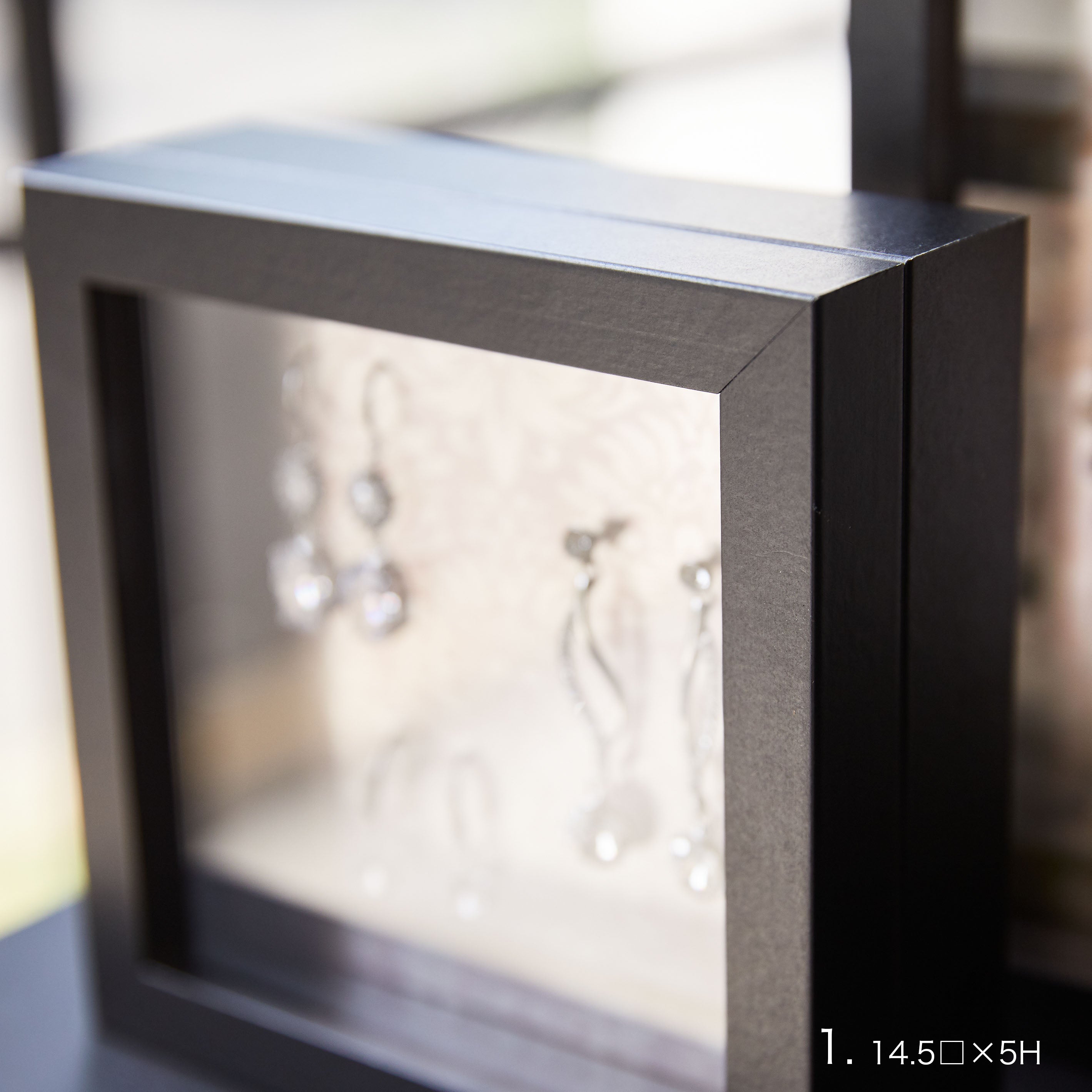 インテリアに最適!標本フレームみたいな【herbier (厚み5cm・BLACK) - エルビエ】