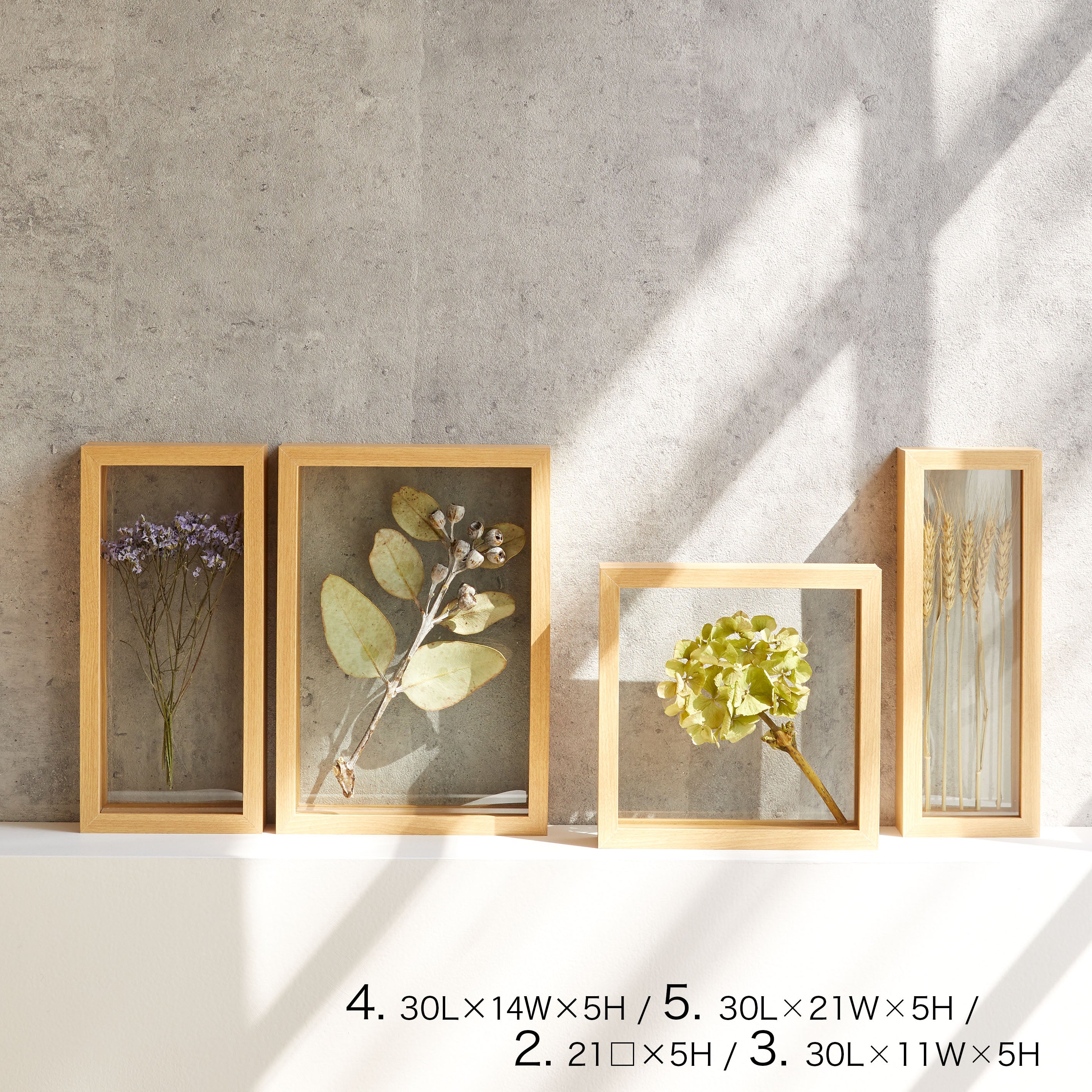 インテリアに最適!標本フレームみたいな【herbier (厚み5cm・NATURAL) - エルビエ】