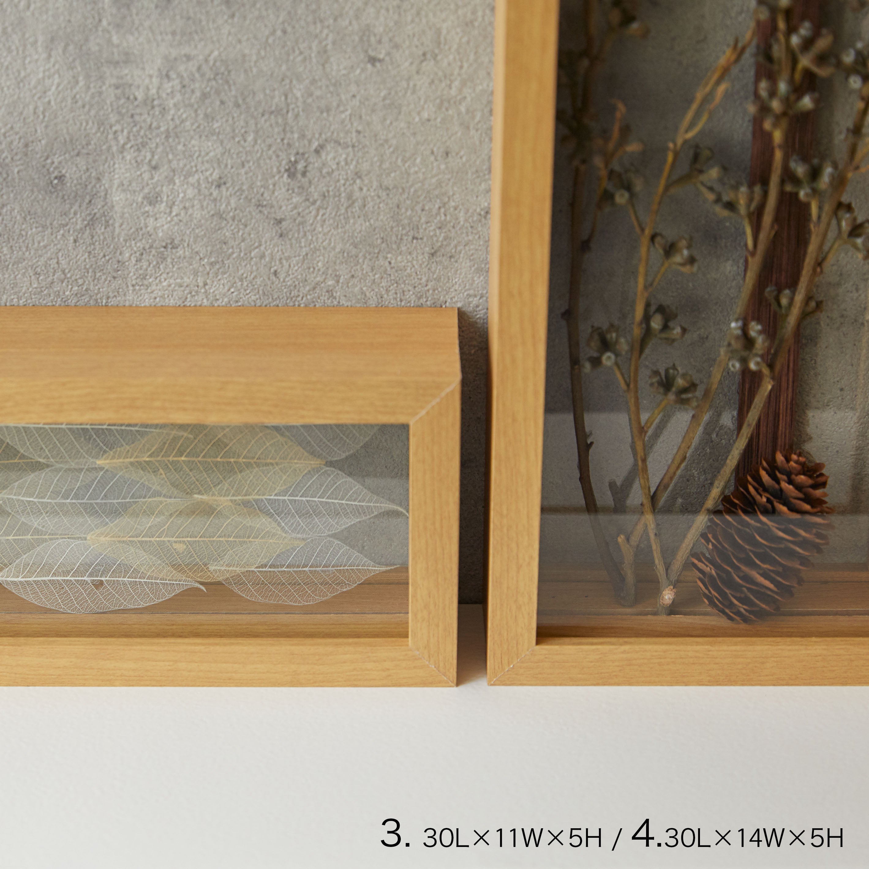 インテリアに最適!標本フレームみたいな【herbier (厚み5cm・NATURAL) - エルビエ】