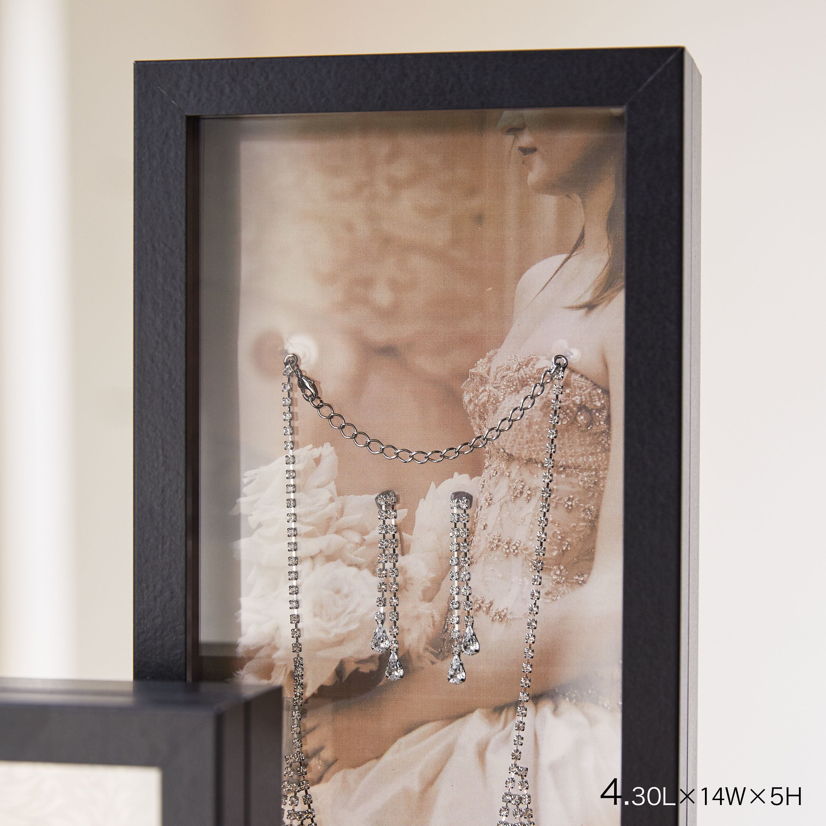 インテリアに最適!標本フレームみたいな【herbier (厚み5cm・BLACK) - エルビエ】