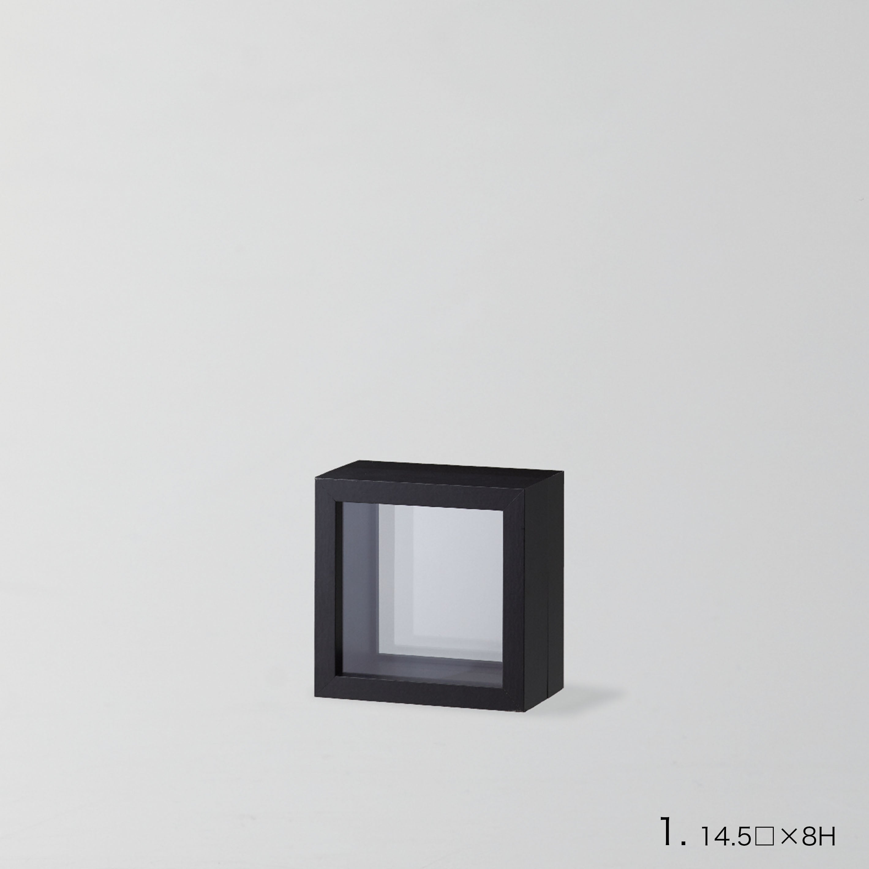 インテリアに最適!標本フレームみたいな【herbier(厚み8cm・BLACK) - エルビエ】