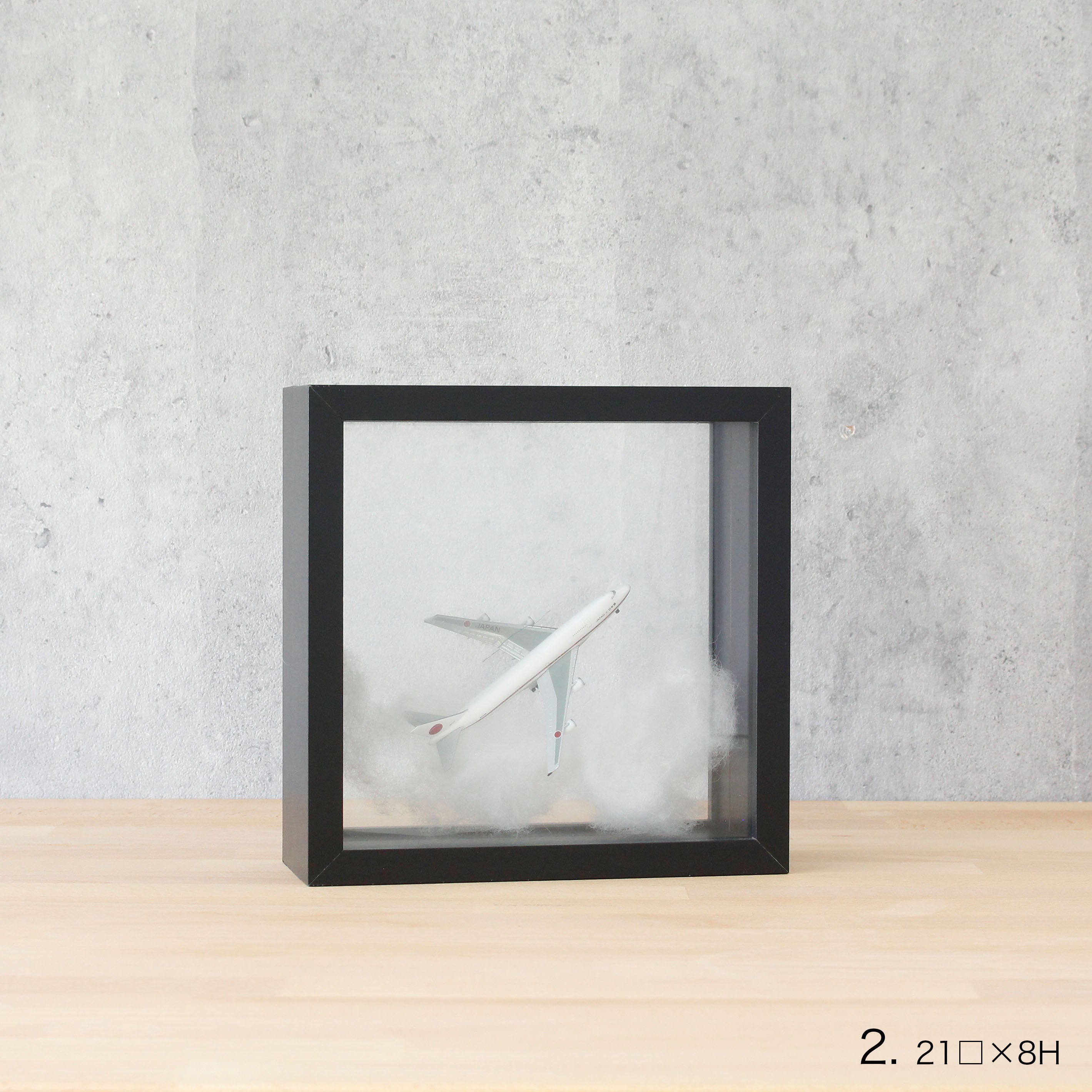 インテリアに最適!標本フレームみたいな【herbier(厚み8cm・BLACK) - エルビエ】