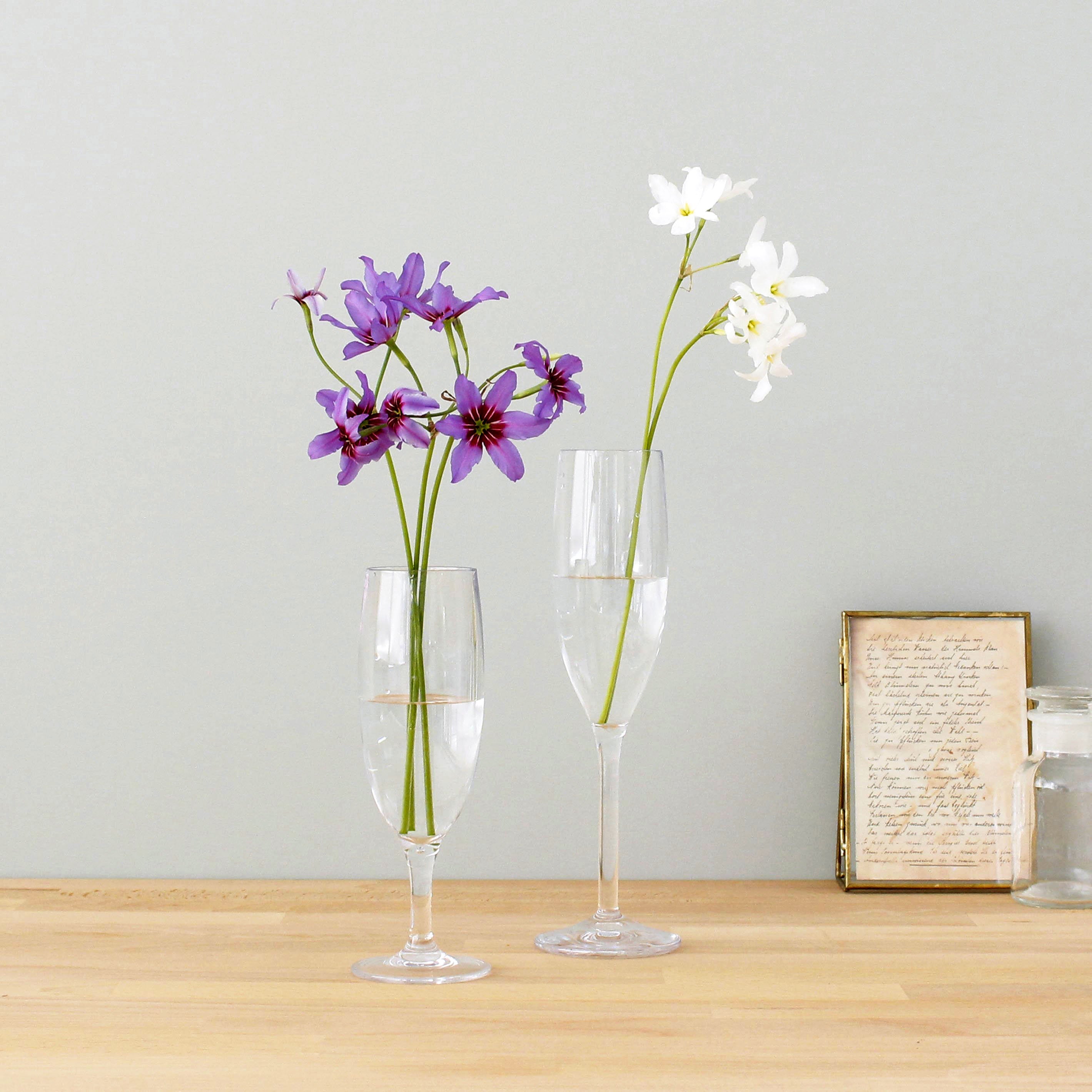 すっきり美しいフルートグラス型【PC flute - ピーシー フルート】割れにくいポリカーボネート製