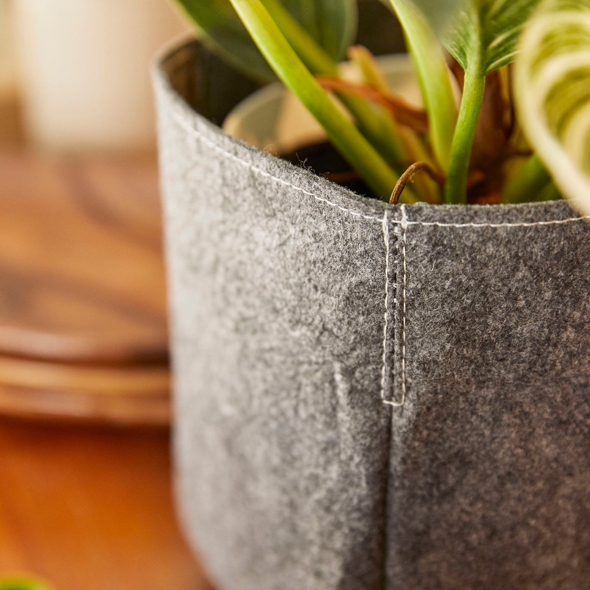 土に還るサステナブルな植木鉢 【Re:pot - リポット】GRAY(グレー)