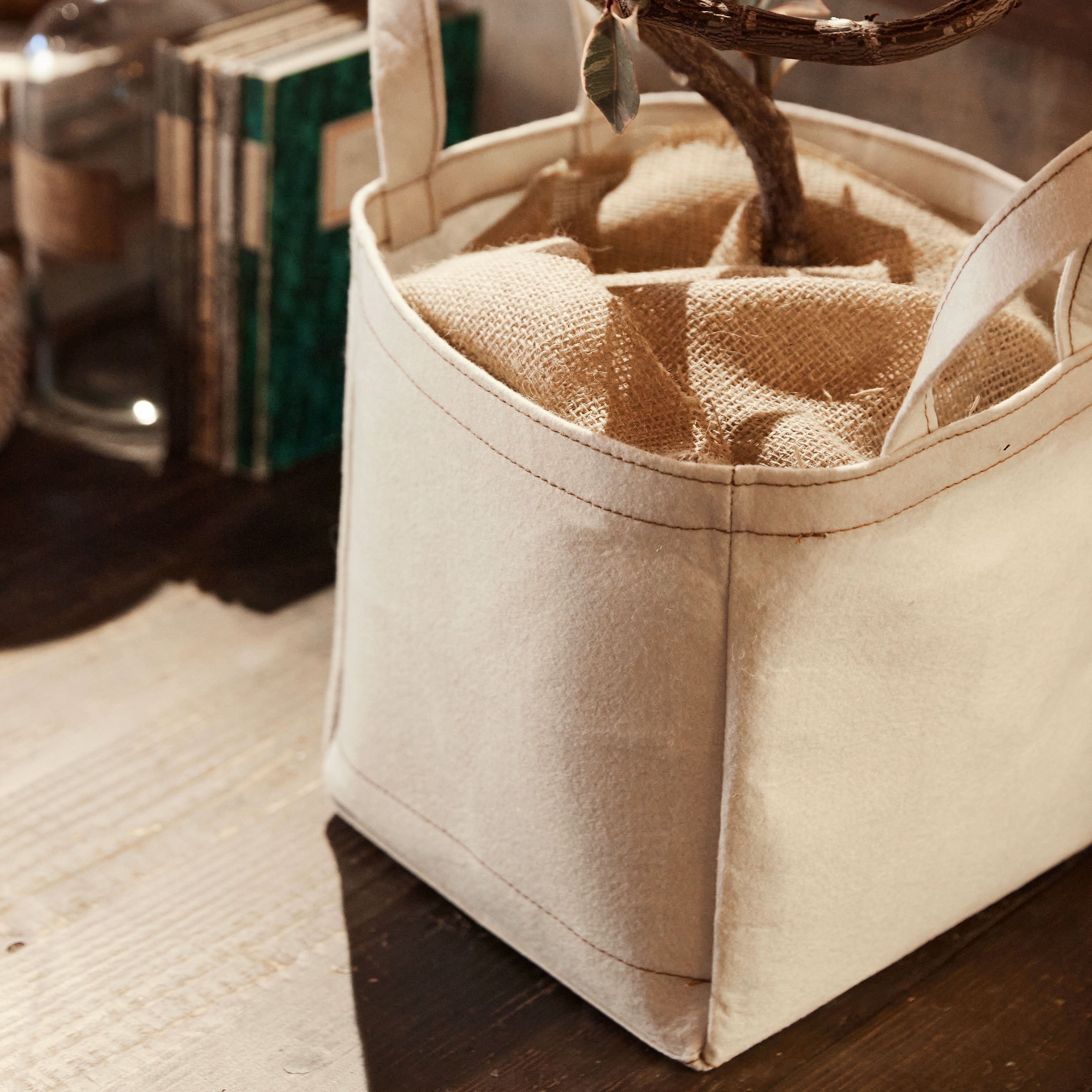 土に還るサステナブルな植木鉢 【Re:pot - リポット】ECRU(エクリュー)