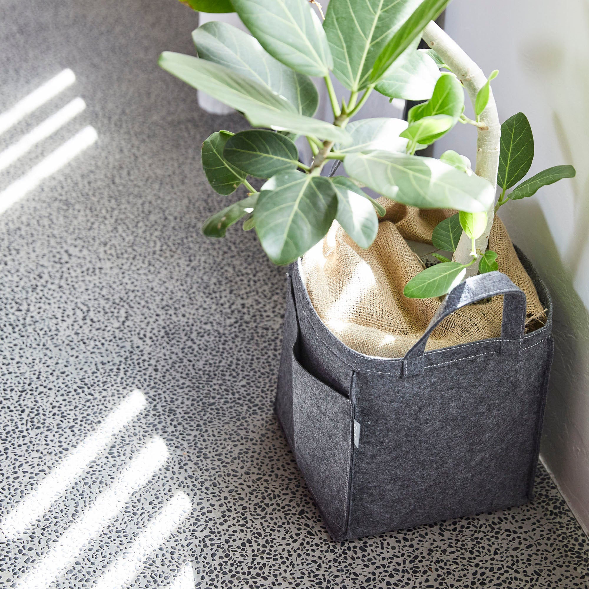 土に還るサステナブルな植木鉢 【Re:pot - リポット】GRAY(グレー)