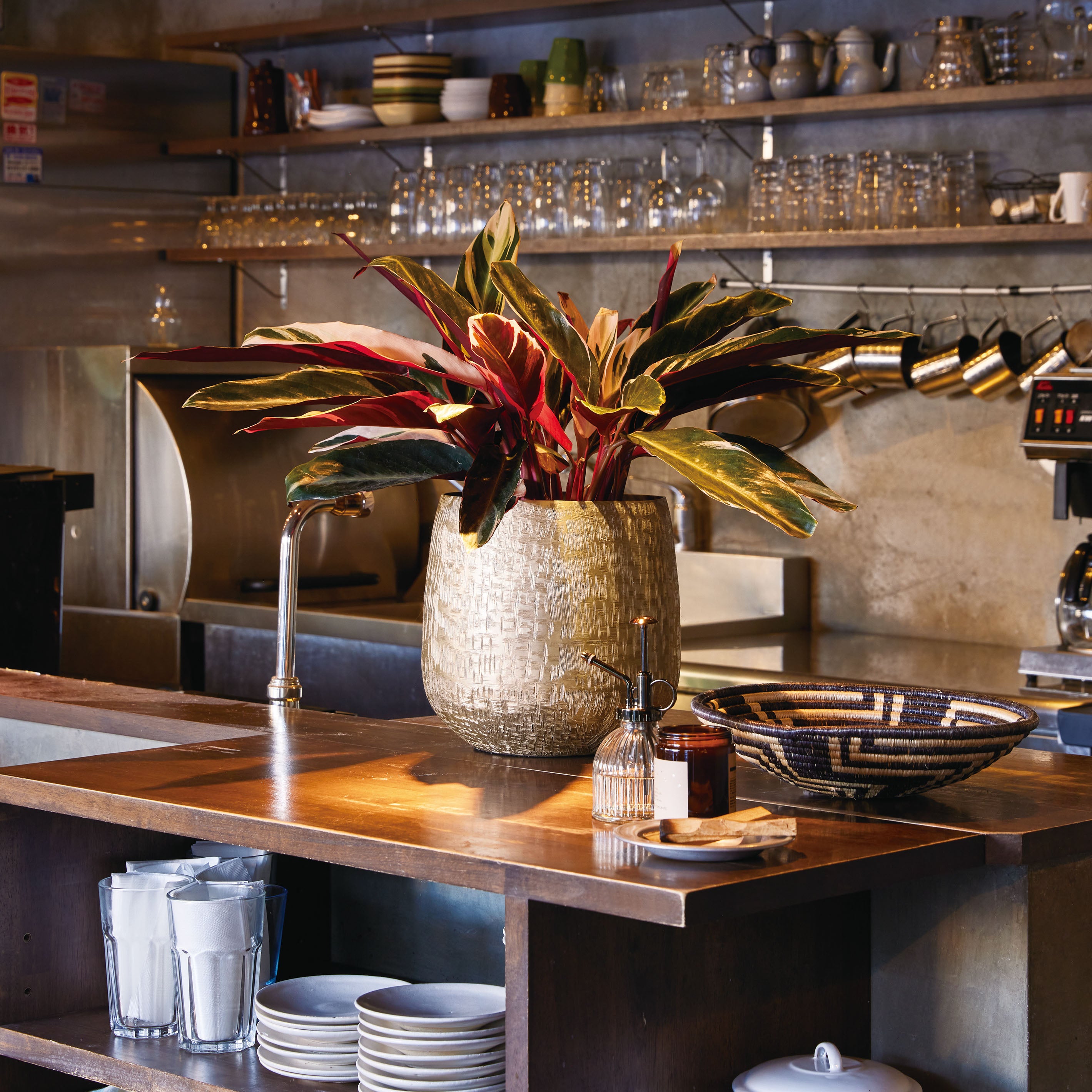 観葉植物におすすめ!軽くてスタイリッシュなアルミニウム製の鉢カバー【Aluminum Pot - アルミニウム ポット】