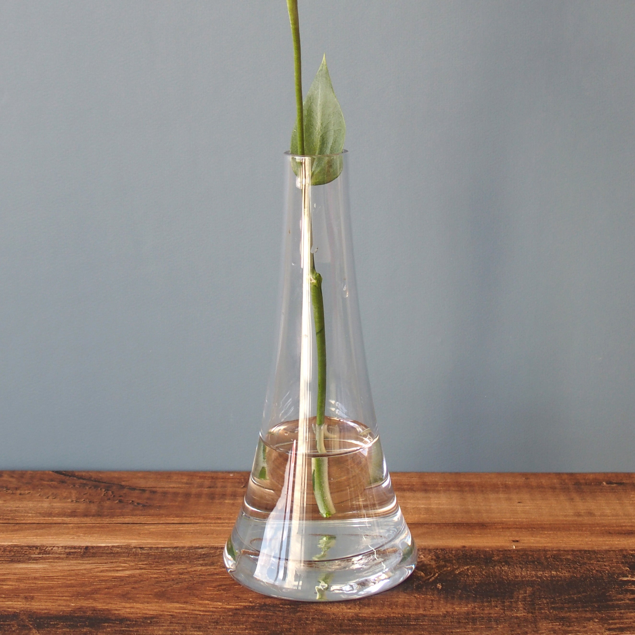 富士山みたいなガラスの一輪挿し【FUJI glass - フジグラス】