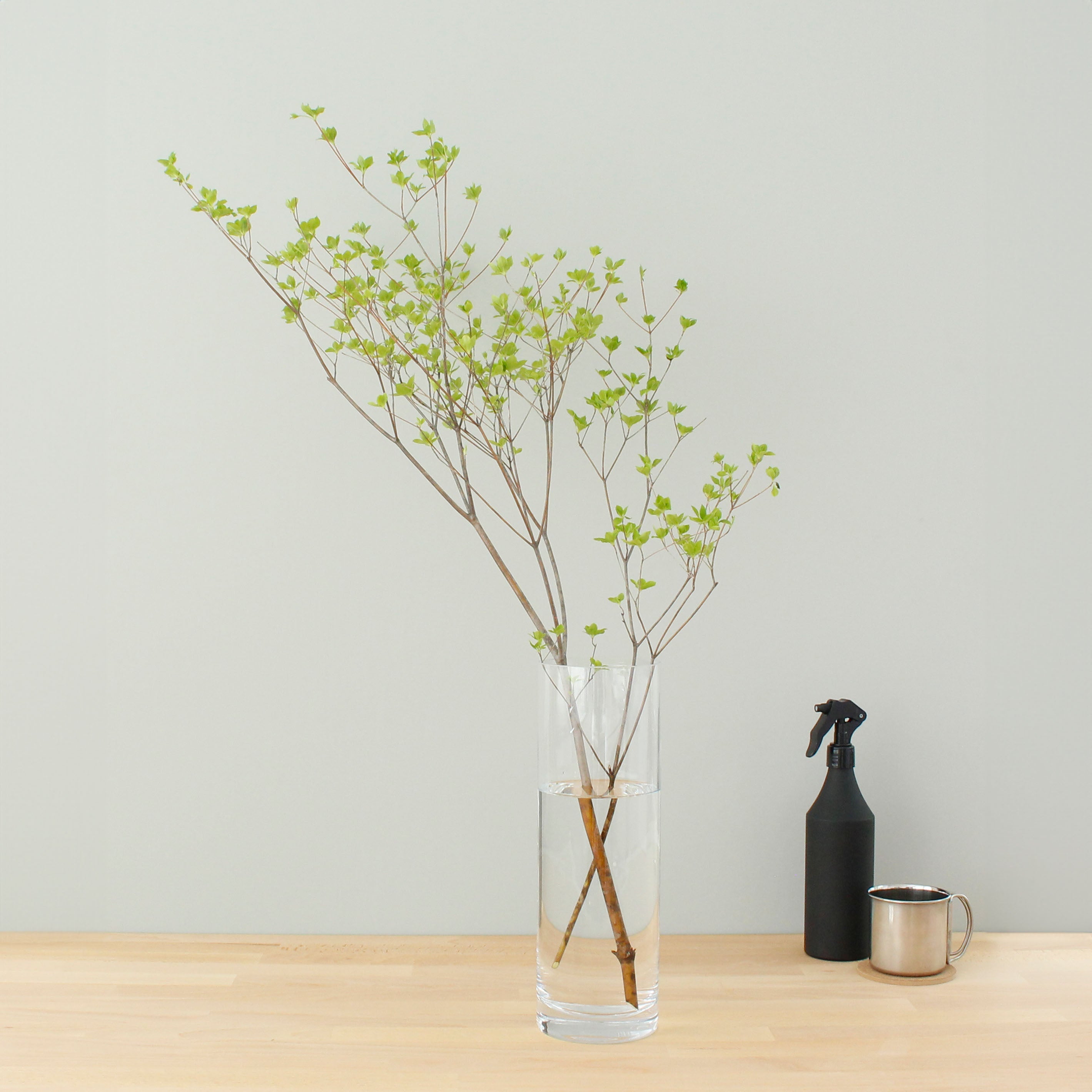 ★ヨーロッパ製★インテリアの定番、シンプルなシリンダーガラス【GLASS straight-R - グラス ストレート アール】