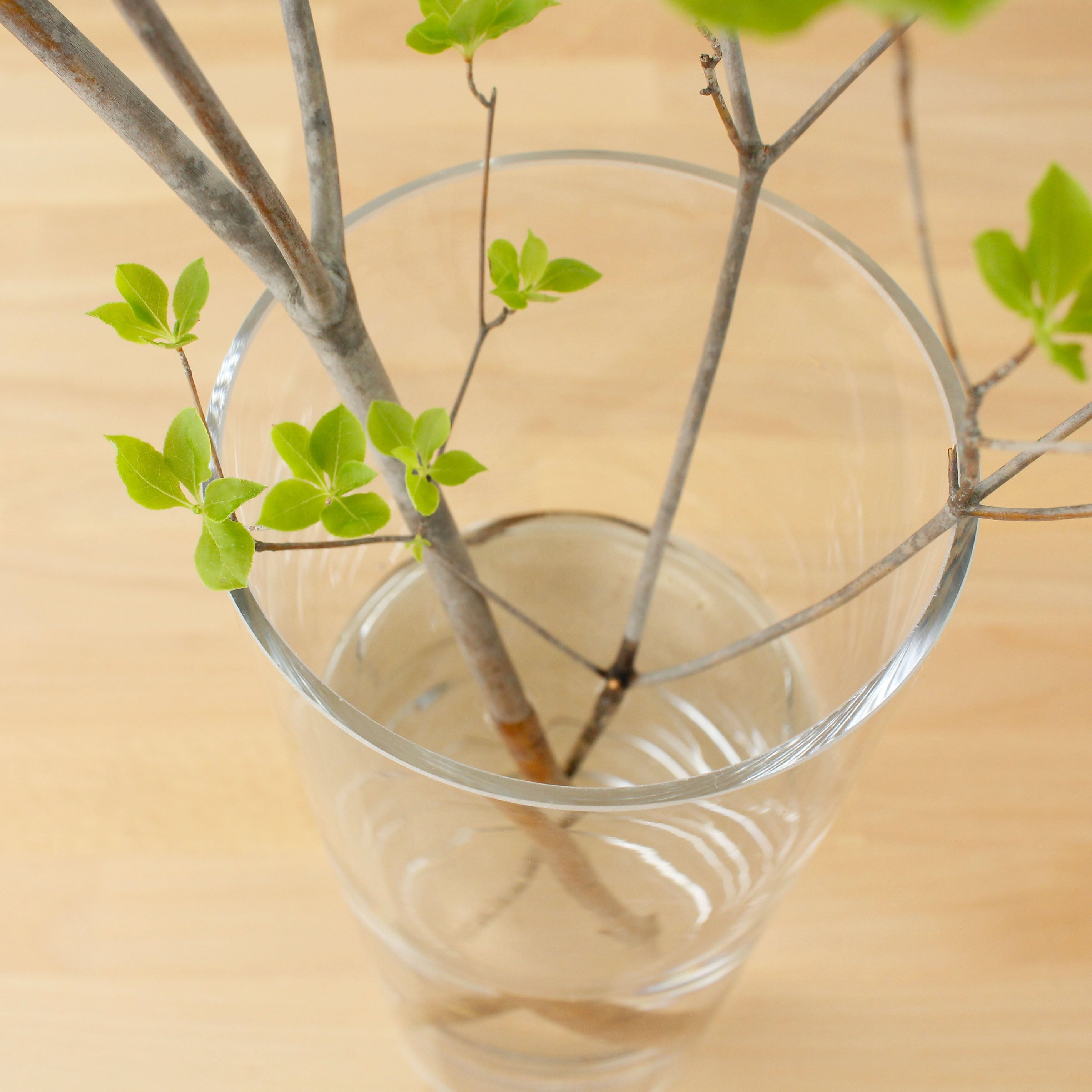 ★ヨーロッパ製★インテリアの定番、シンプルなシリンダーガラス【GLASS straight-R - グラス ストレート アール】