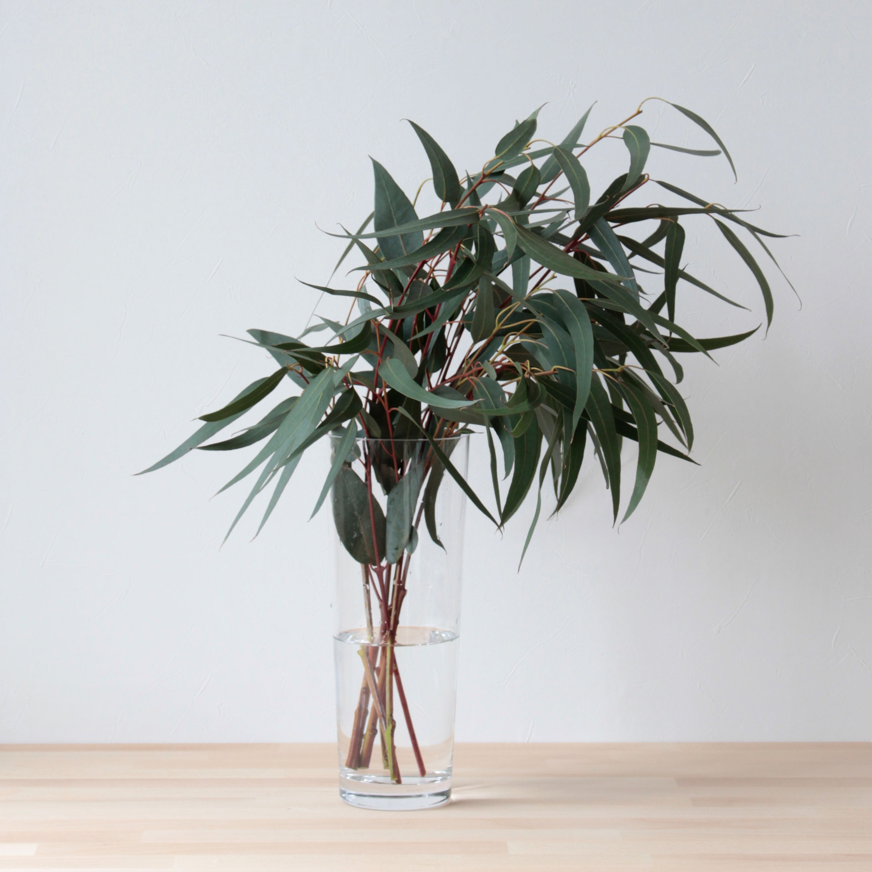 ★ヨーロッパ製★枝などたっぷり飾れるシンプルなガラス【Glass taper-R - グラス テーパー アール】