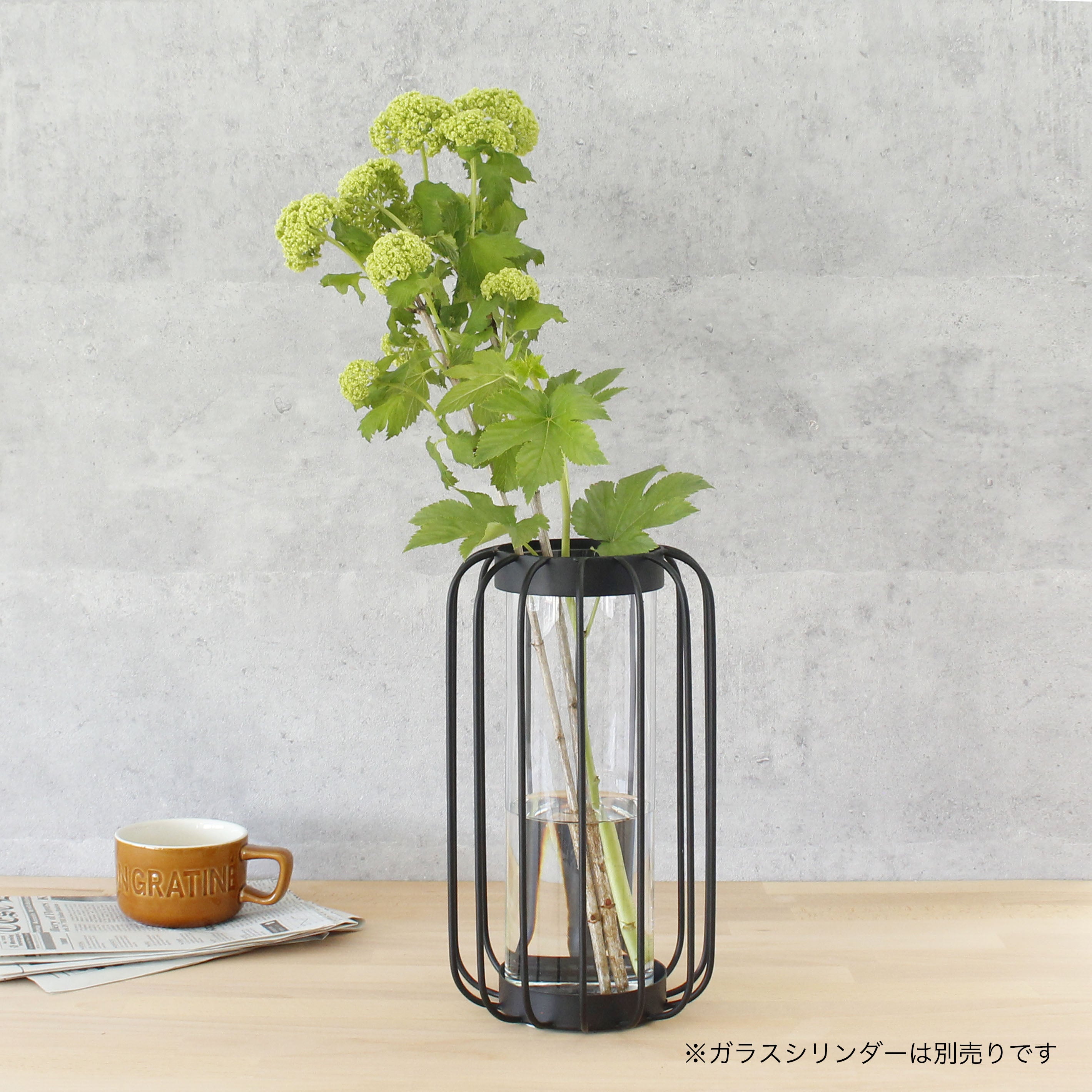 個性が際立つ!アイアンフレーム【Louver - ルーバー】