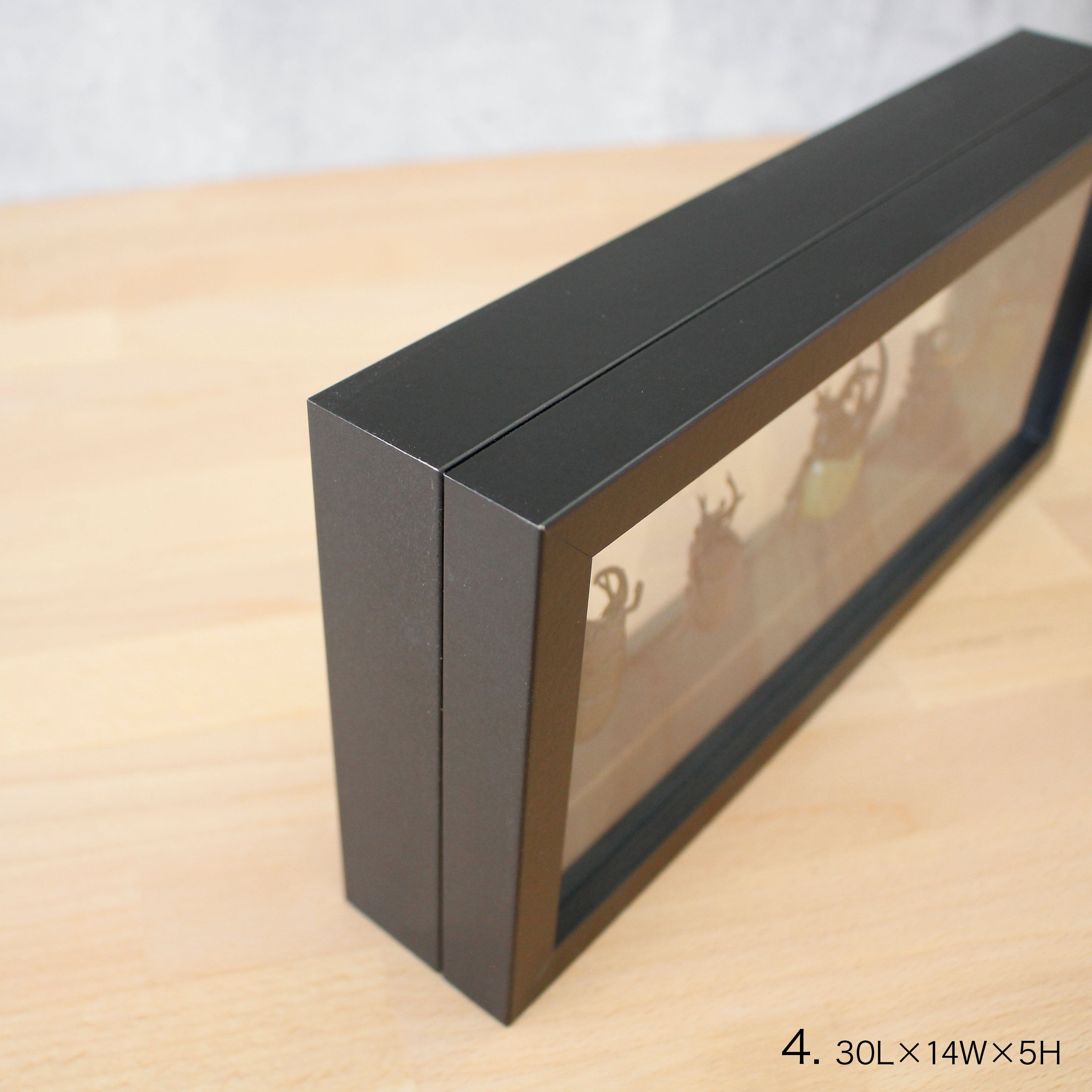 インテリアに最適!標本フレームみたいな【herbier (厚み5cm・BLACK) - エルビエ】