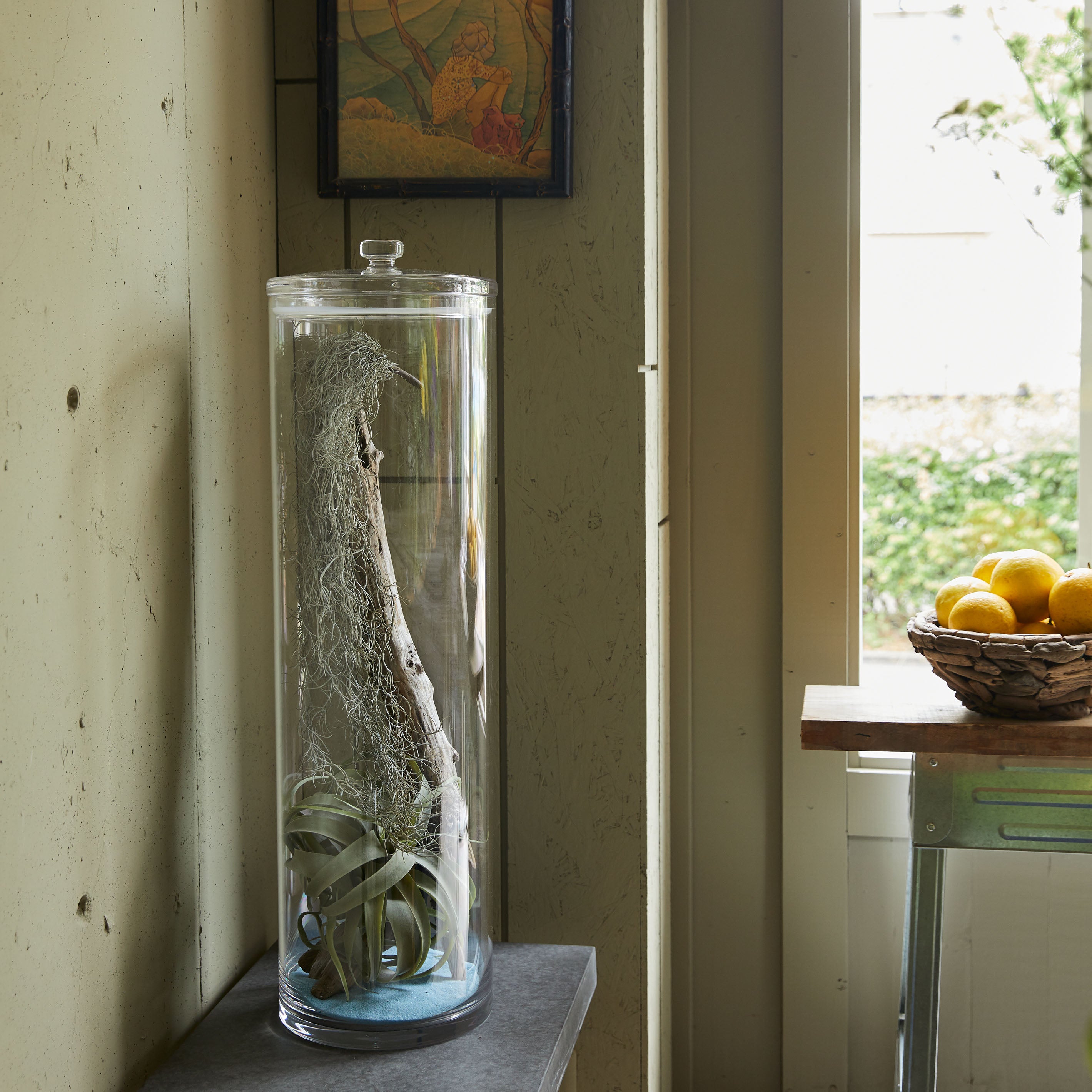 シリンダーにセットして使える【PC cap - ピーシー キャップ】割れないポリカーボネート製