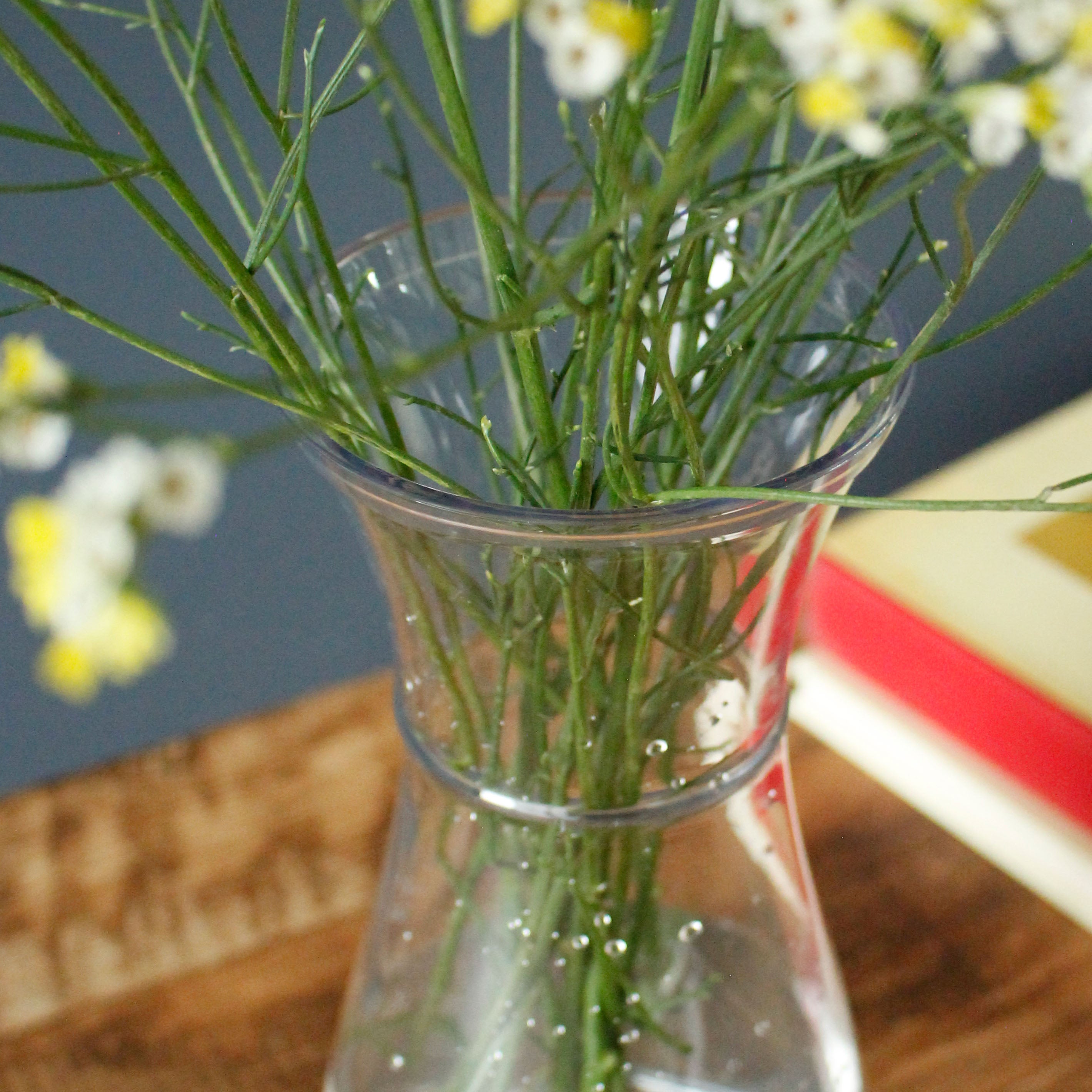 カジュアルに使いやすい、カラフェ(水差し)型の花瓶【PC carafe - ピーシー カラフェ】