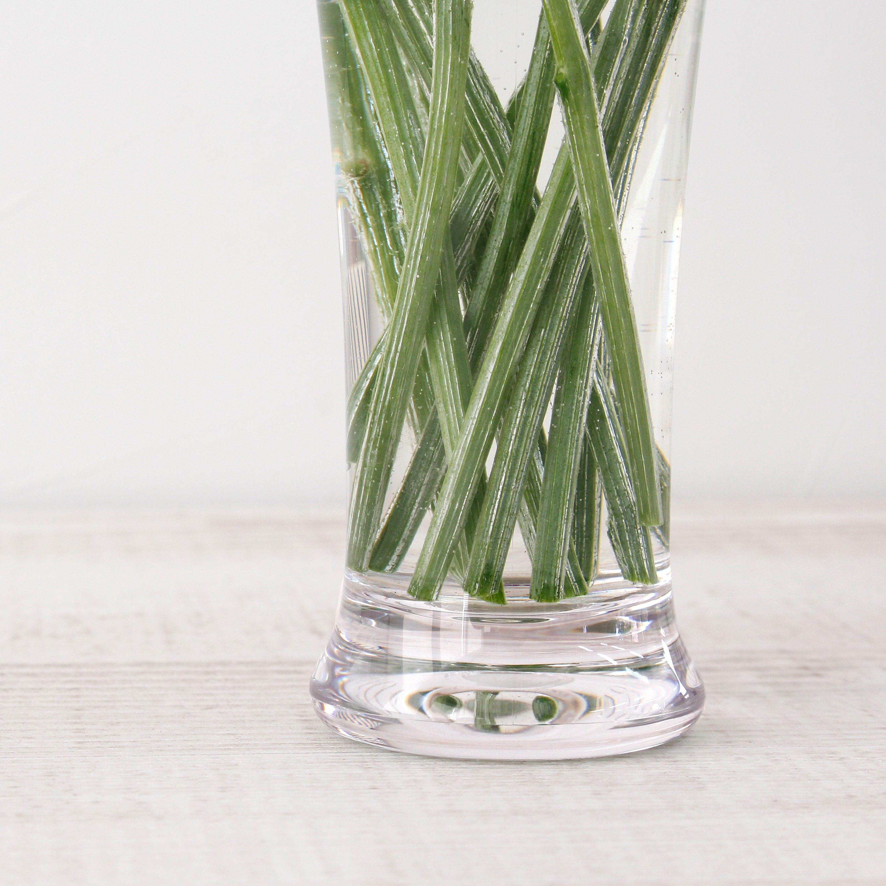 花がいけやすいスリムなテーパー型【PC slender Ⅱ - ピーシー スレンダー】割れにくいポリカーボネート製