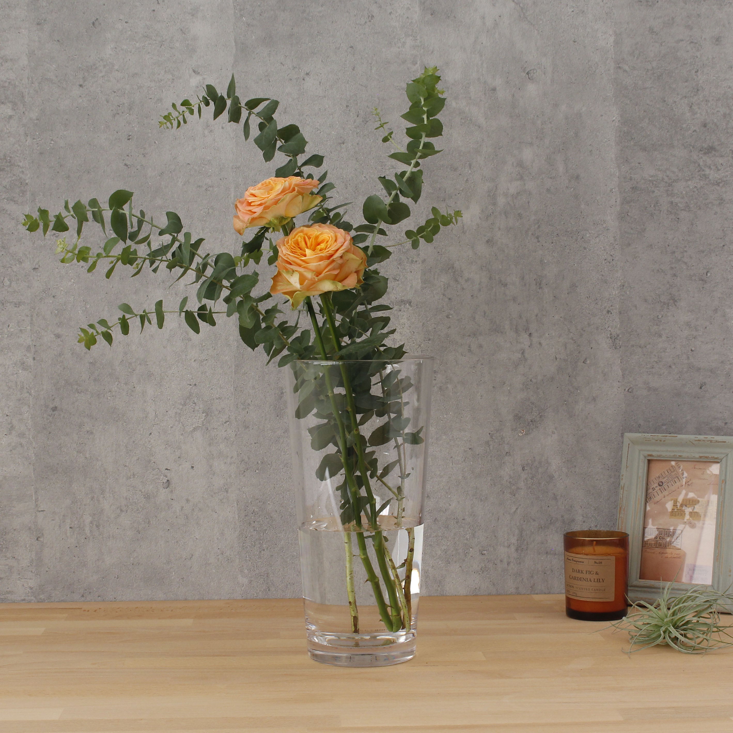 バランスのとりやすいテーパー型【PC taper - ピーシー テーパー】割れにくいポリカーボネート製