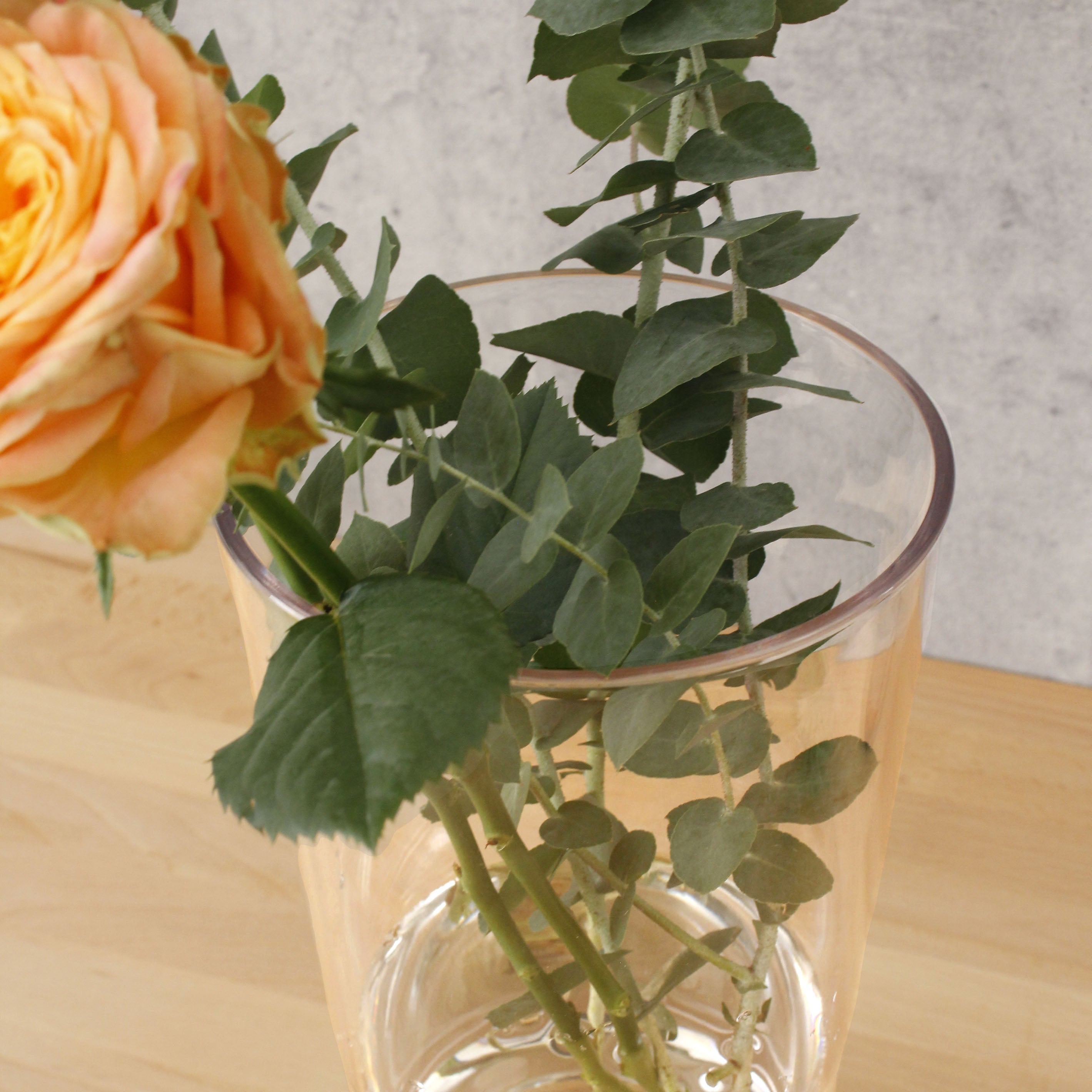 バランスのとりやすいテーパー型【PC taper - ピーシー テーパー】割れにくいポリカーボネート製