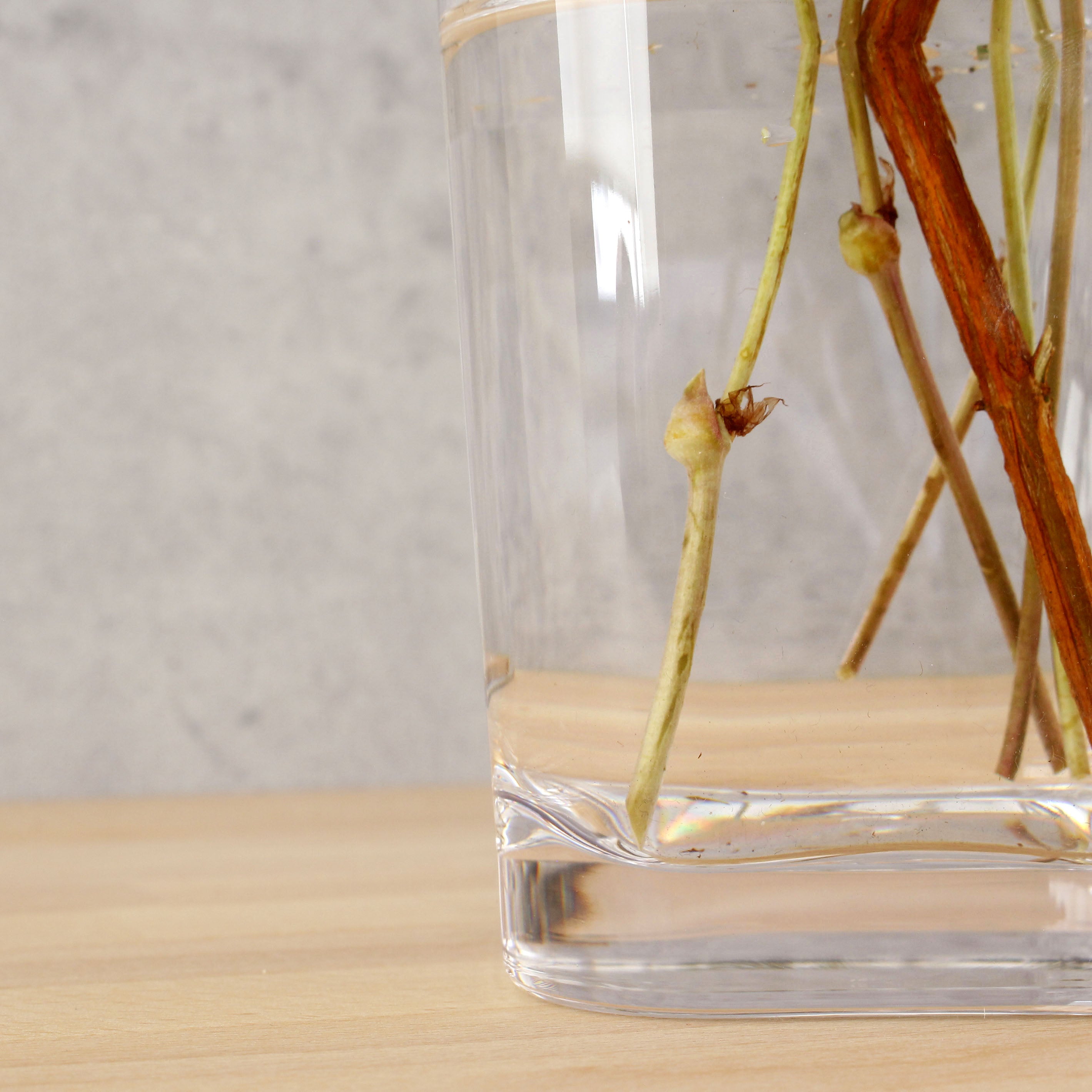 バランスのとりやすいテーパー型【PC taper - ピーシー テーパー】割れにくいポリカーボネート製