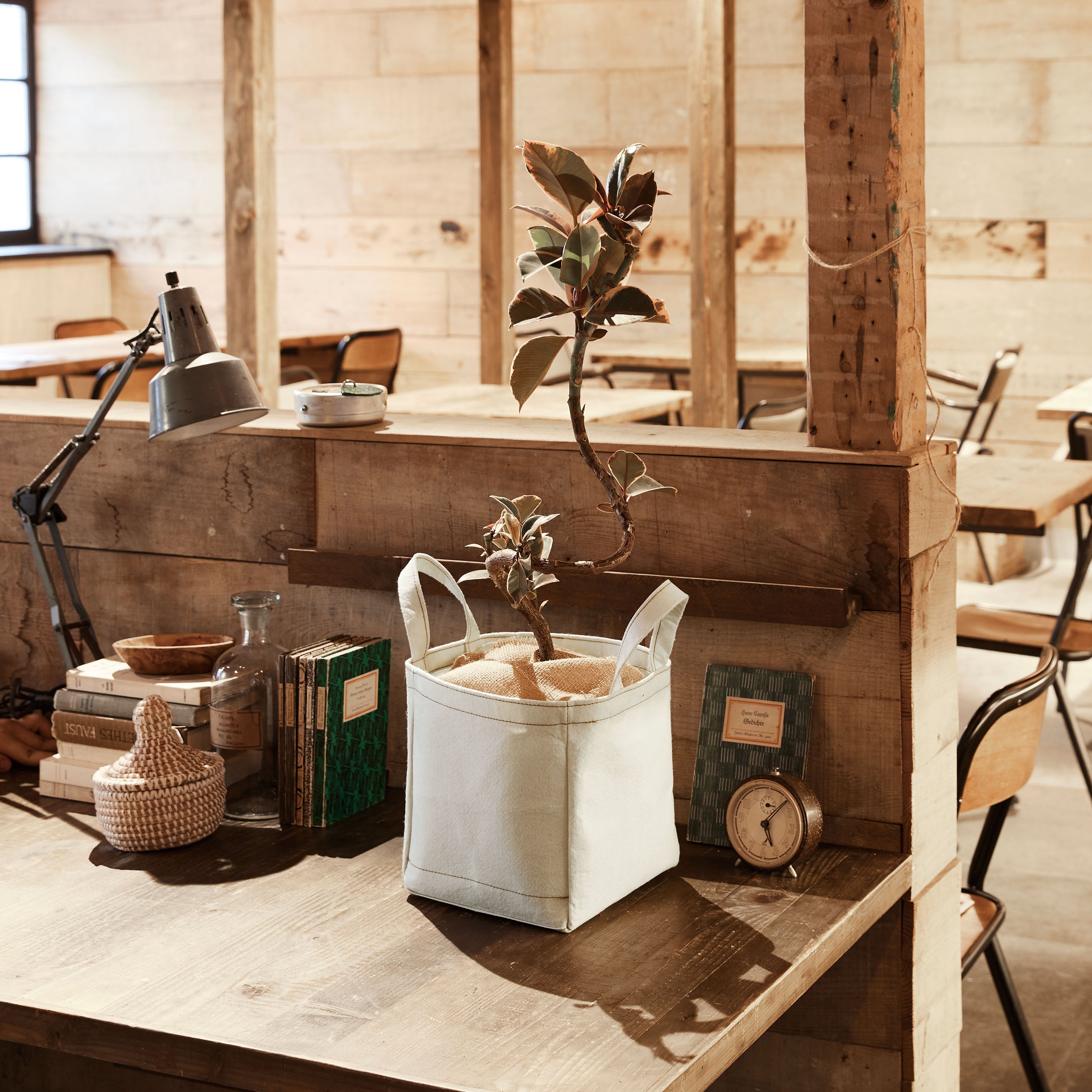 土に還るサステナブルな植木鉢 【Re:pot - リポット】ECRU(エクリュー)