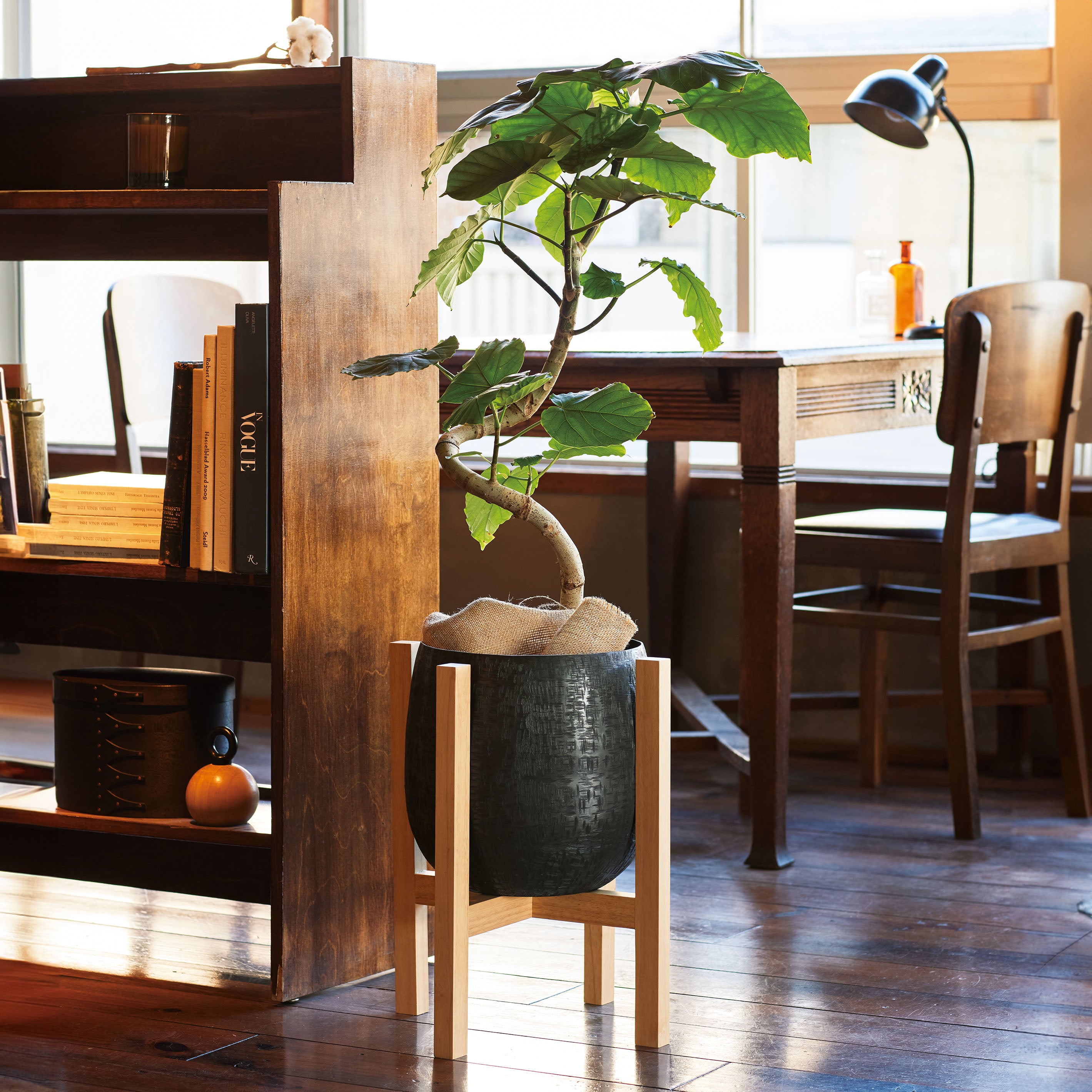 鉢植えの植物をより魅力的に見せる木製スタンド【Wood Stand Combi - ウッド スタンド コンビ】