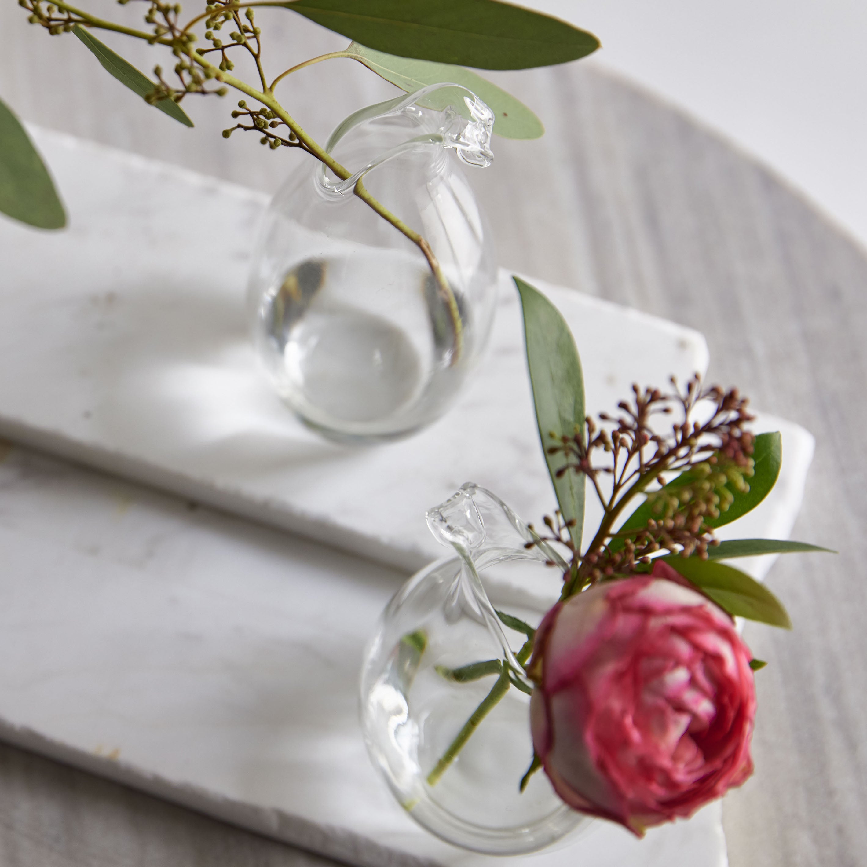 吊るしても置いてもOK!2wayで楽しめる丸いガラスの花瓶【airy drop - エアリードロップ】