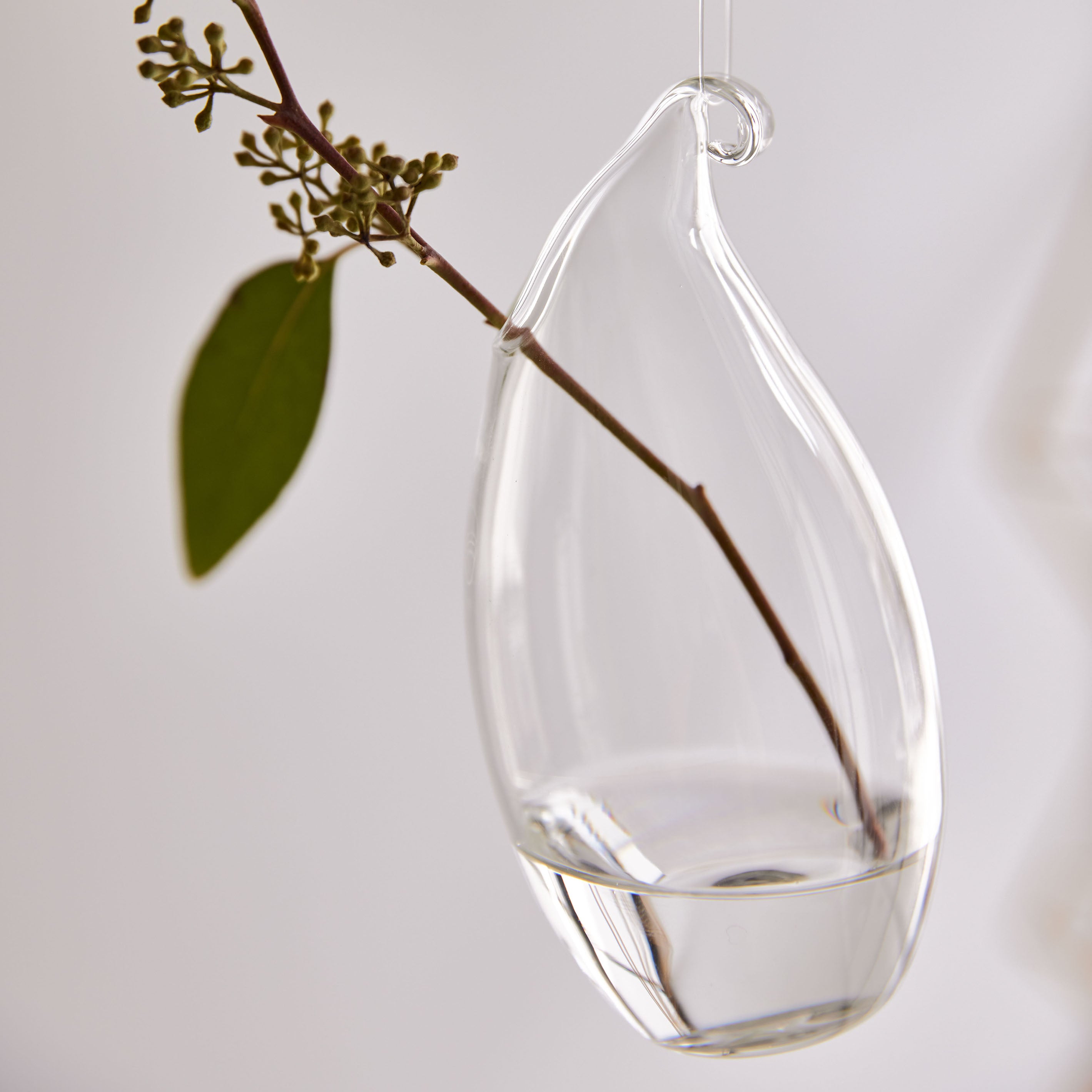 吊るしても置いてもOK!2wayで楽しめる丸いガラスの花瓶【airy drop - エアリードロップ】