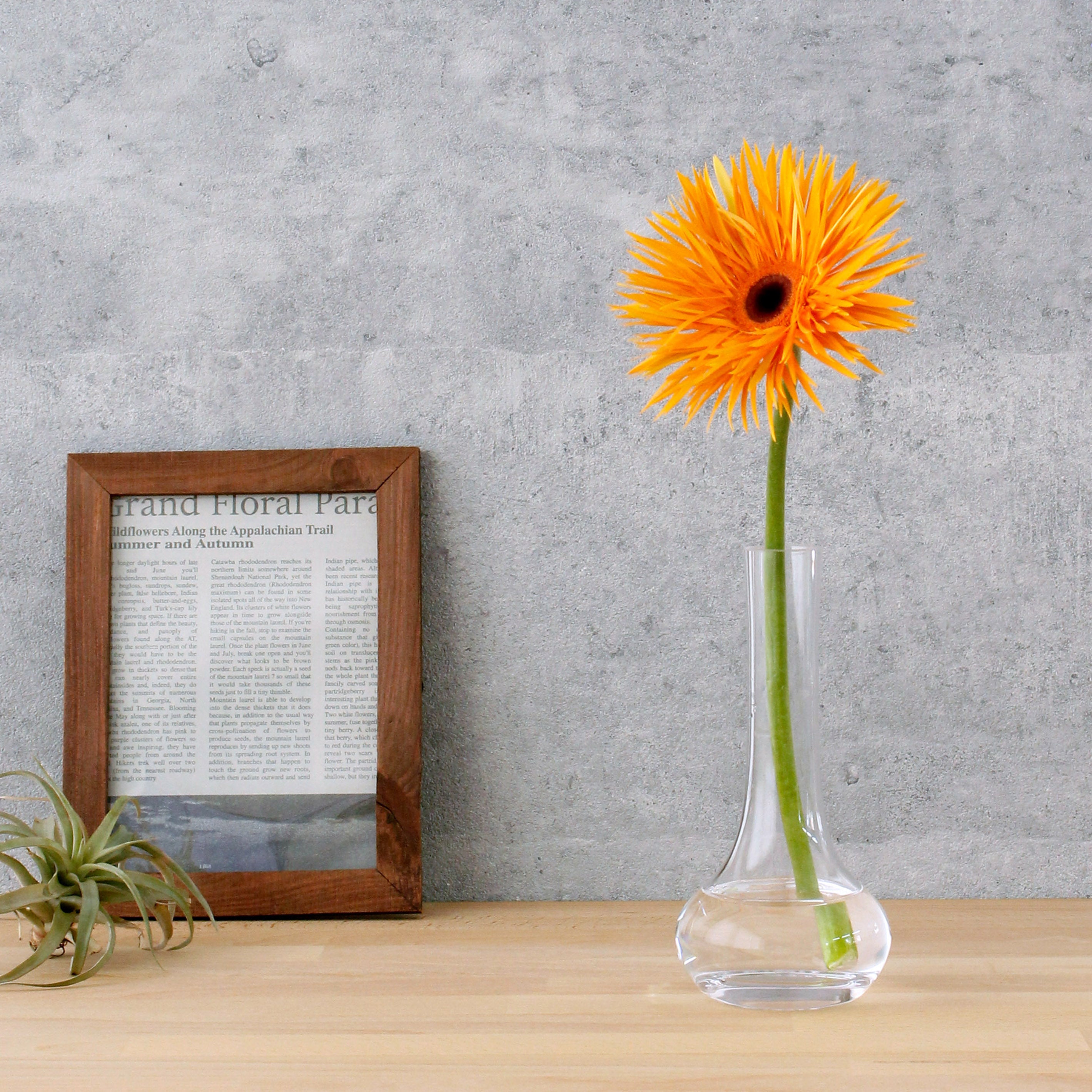 花の茎まで美しくみせるガラスの一輪挿し【courbe tall - クルブトール】