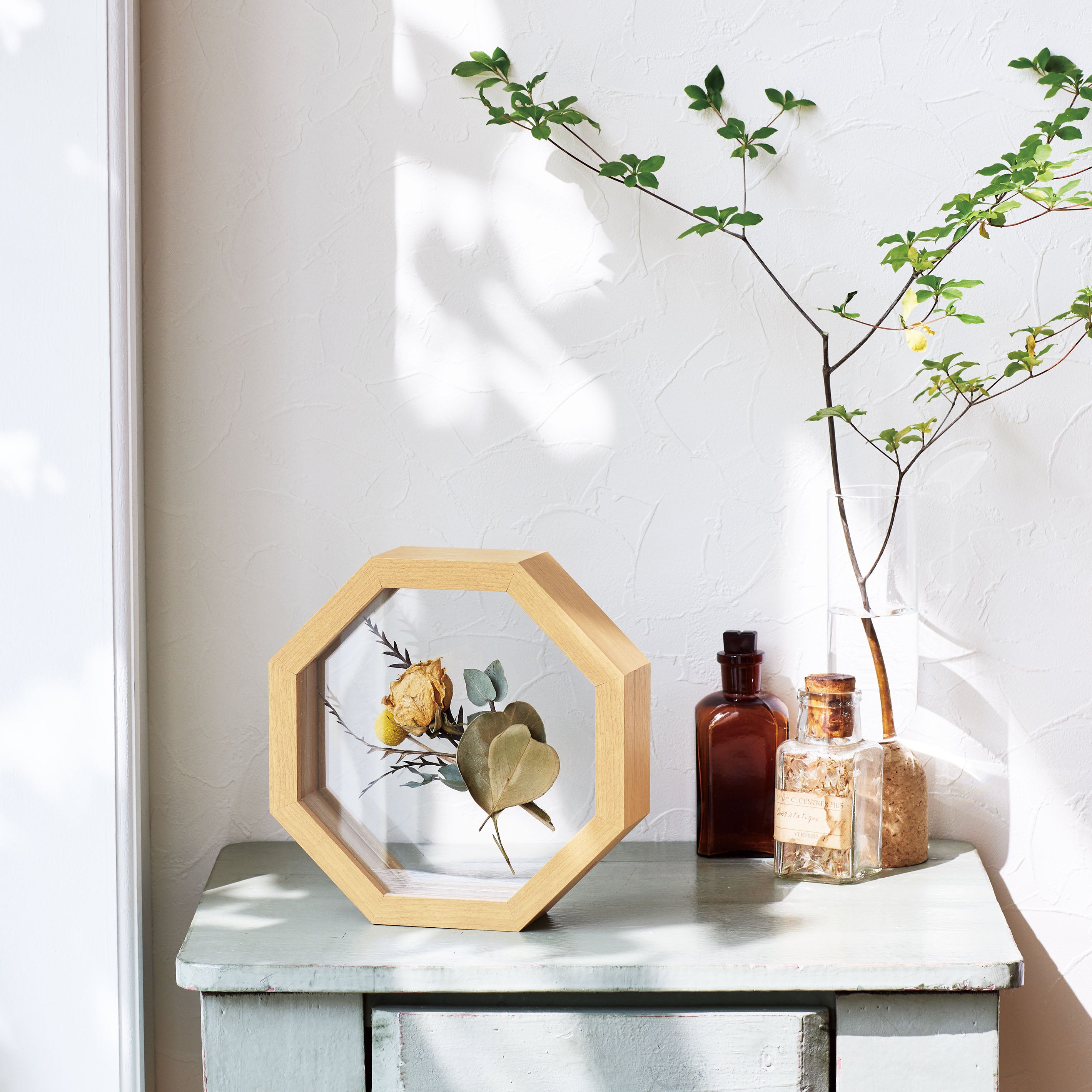 インテリアにおすすめ!標本フレームみたいな【herbier (八角形) - エルビエ】