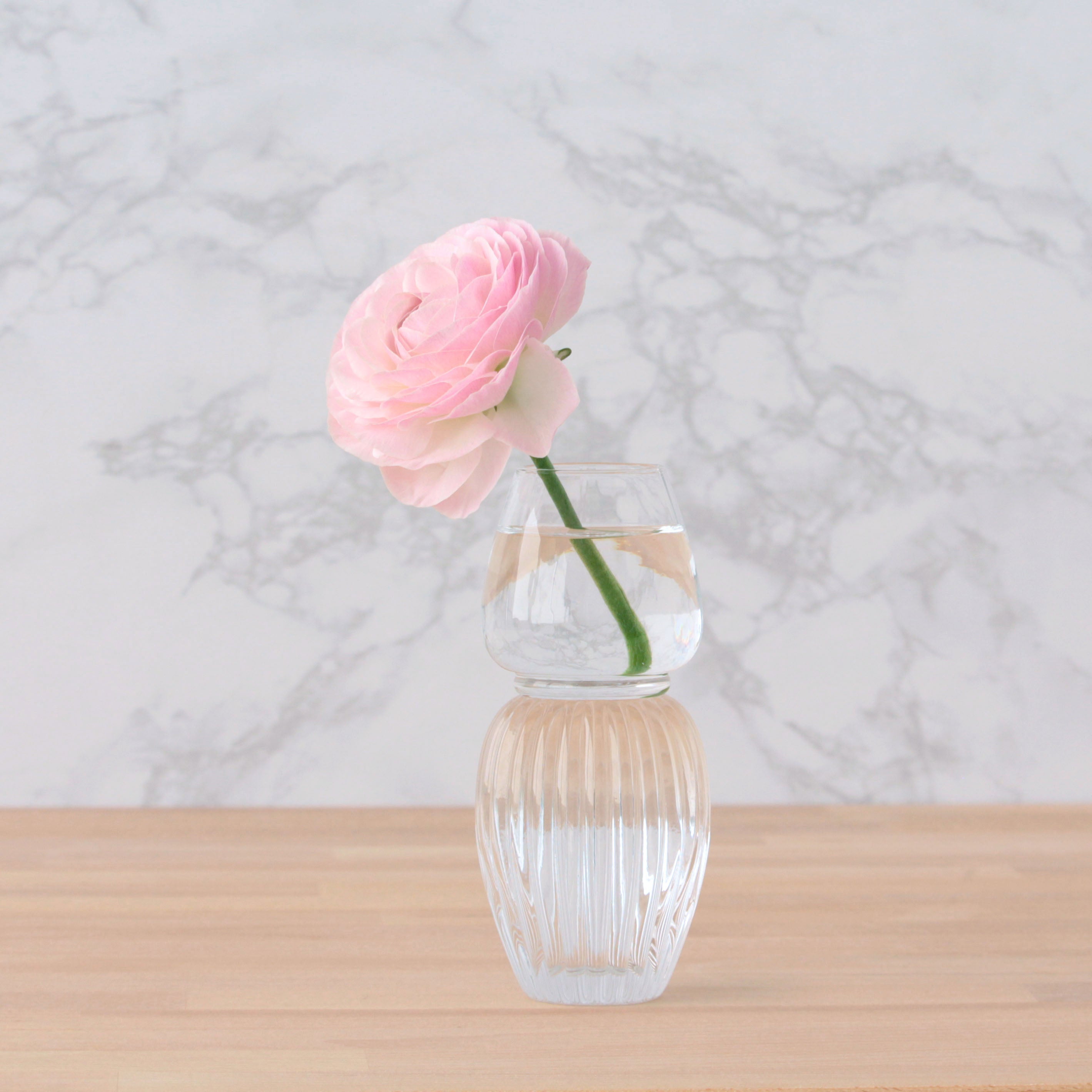 初心者にもおすすめ!アルコールランプみたいなかわいらしいガラスの花瓶【 luce - ルーチェ 】