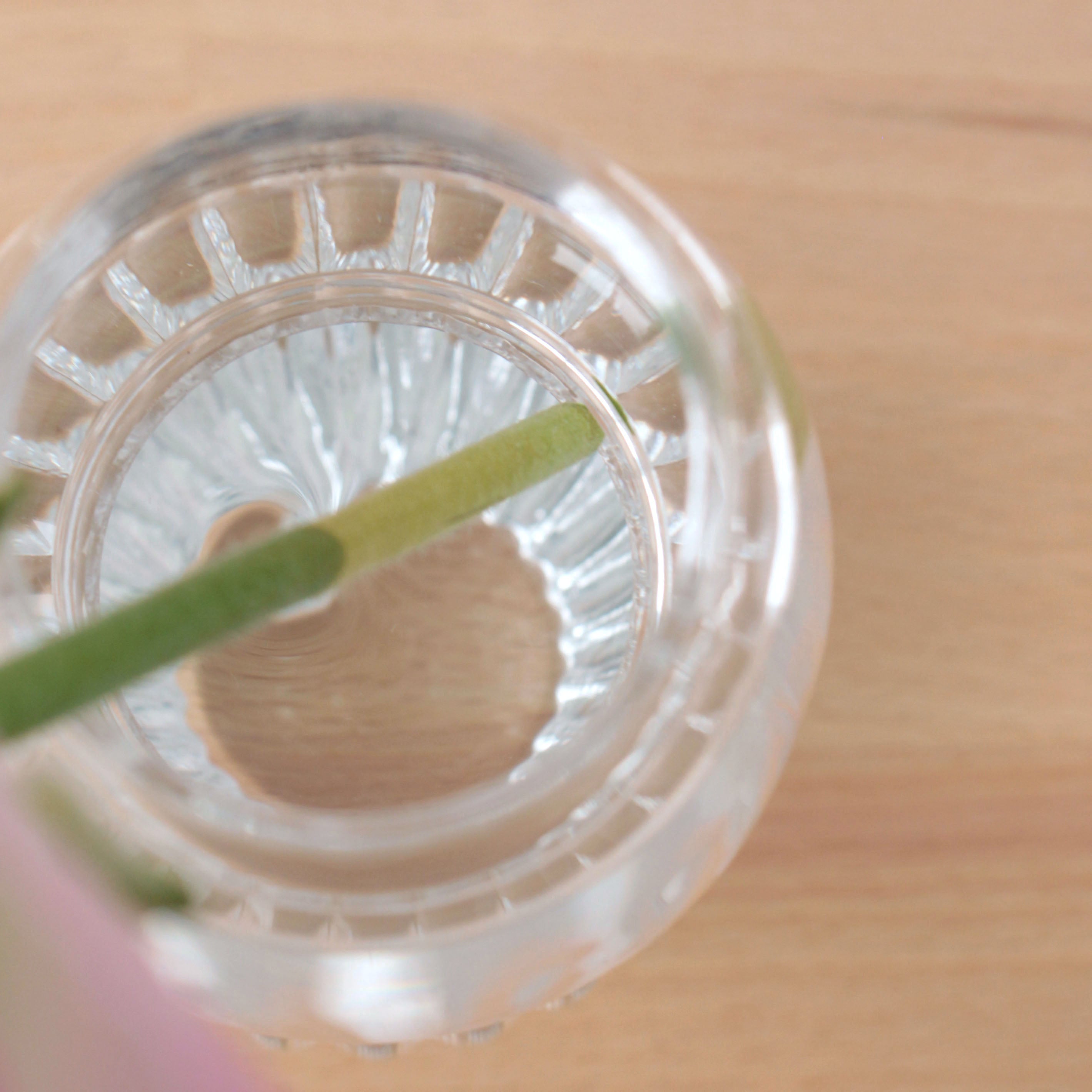 初心者にもおすすめ!アルコールランプみたいなかわいらしいガラスの花瓶【 luce - ルーチェ 】