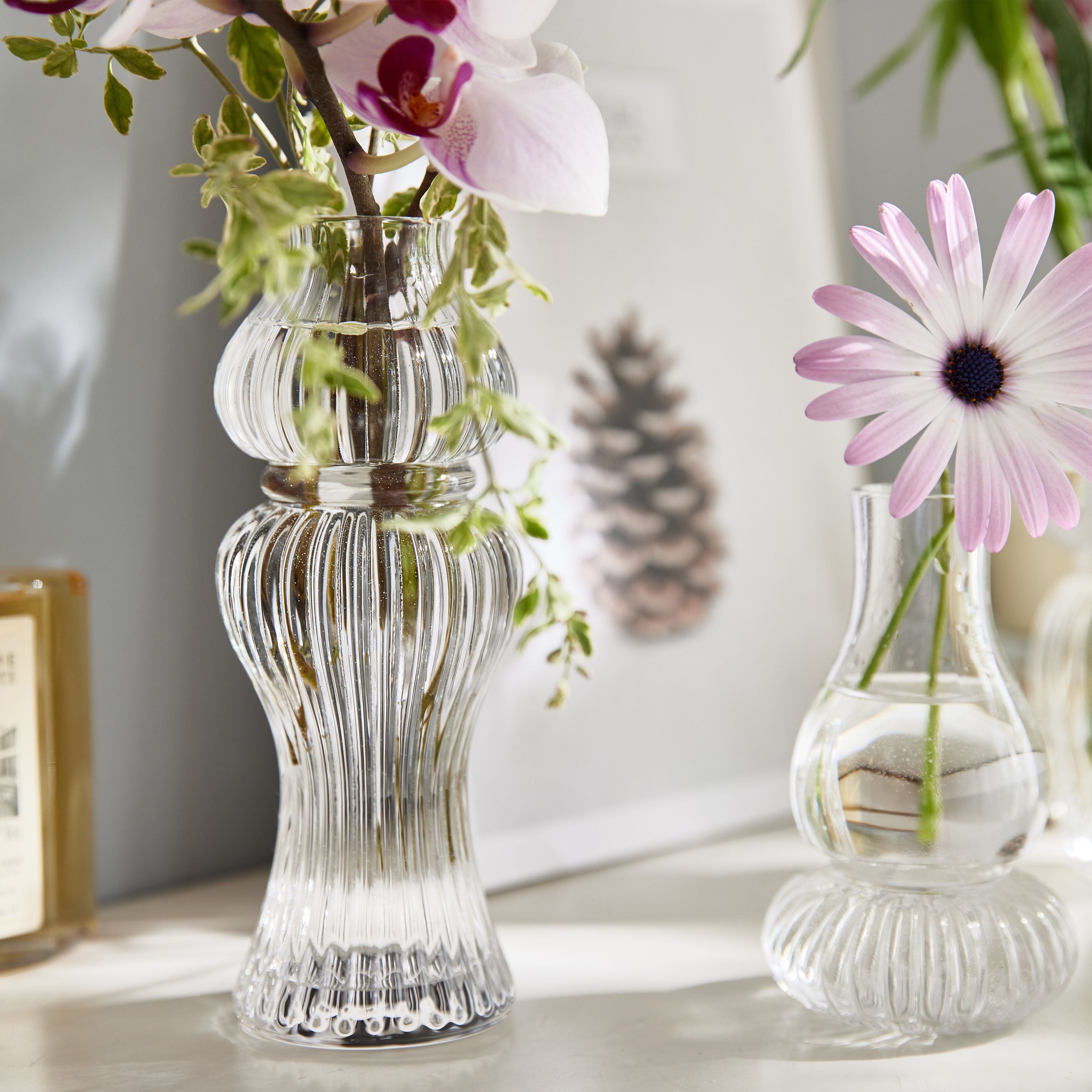 初心者にもおすすめ!アルコールランプみたいなかわいらしいガラスの花瓶【 luce - ルーチェ 】