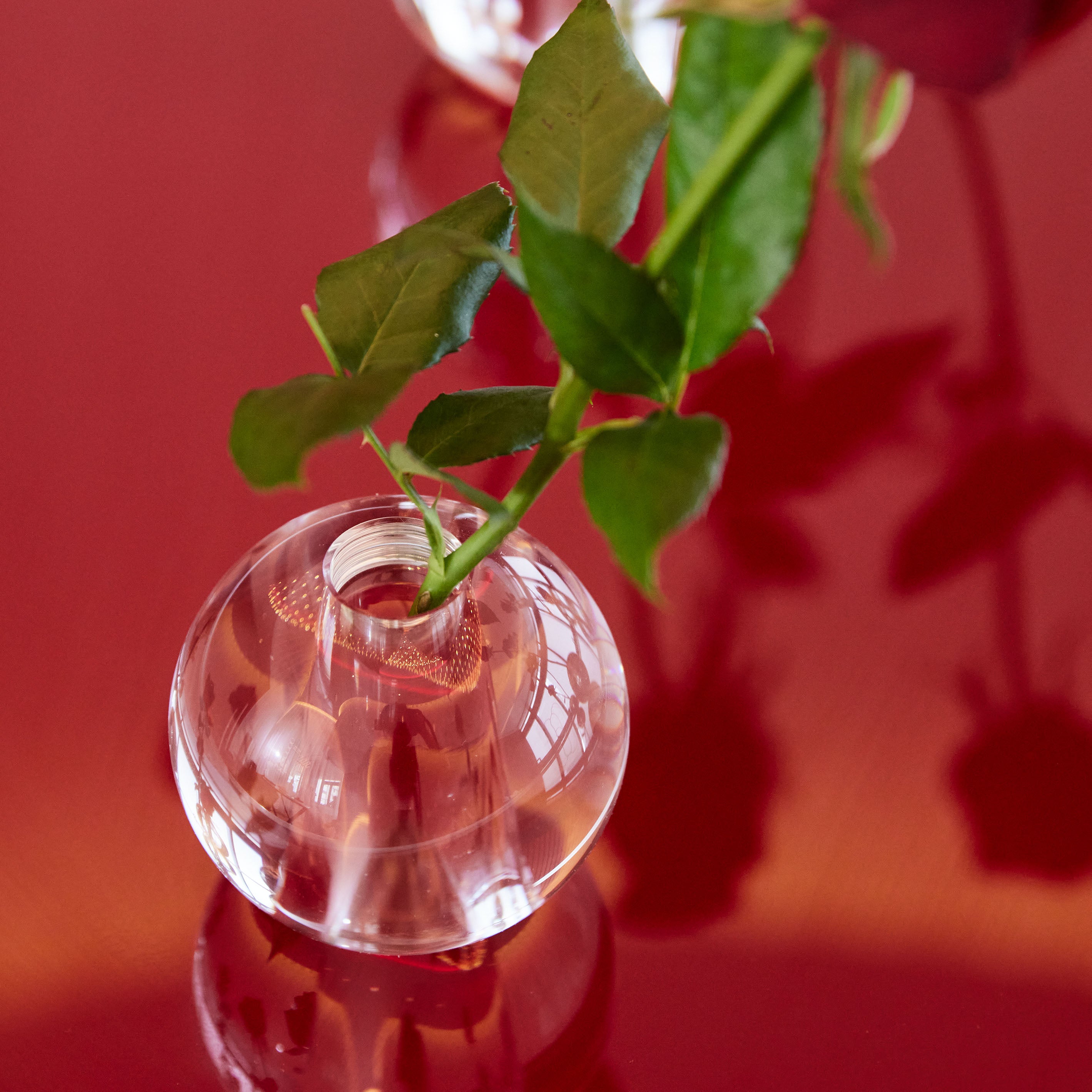 特別な日のプレゼントにもおすすめ!高級感のある丸いクリスタルガラスの一輪挿し【nuova - ノーヴァ】