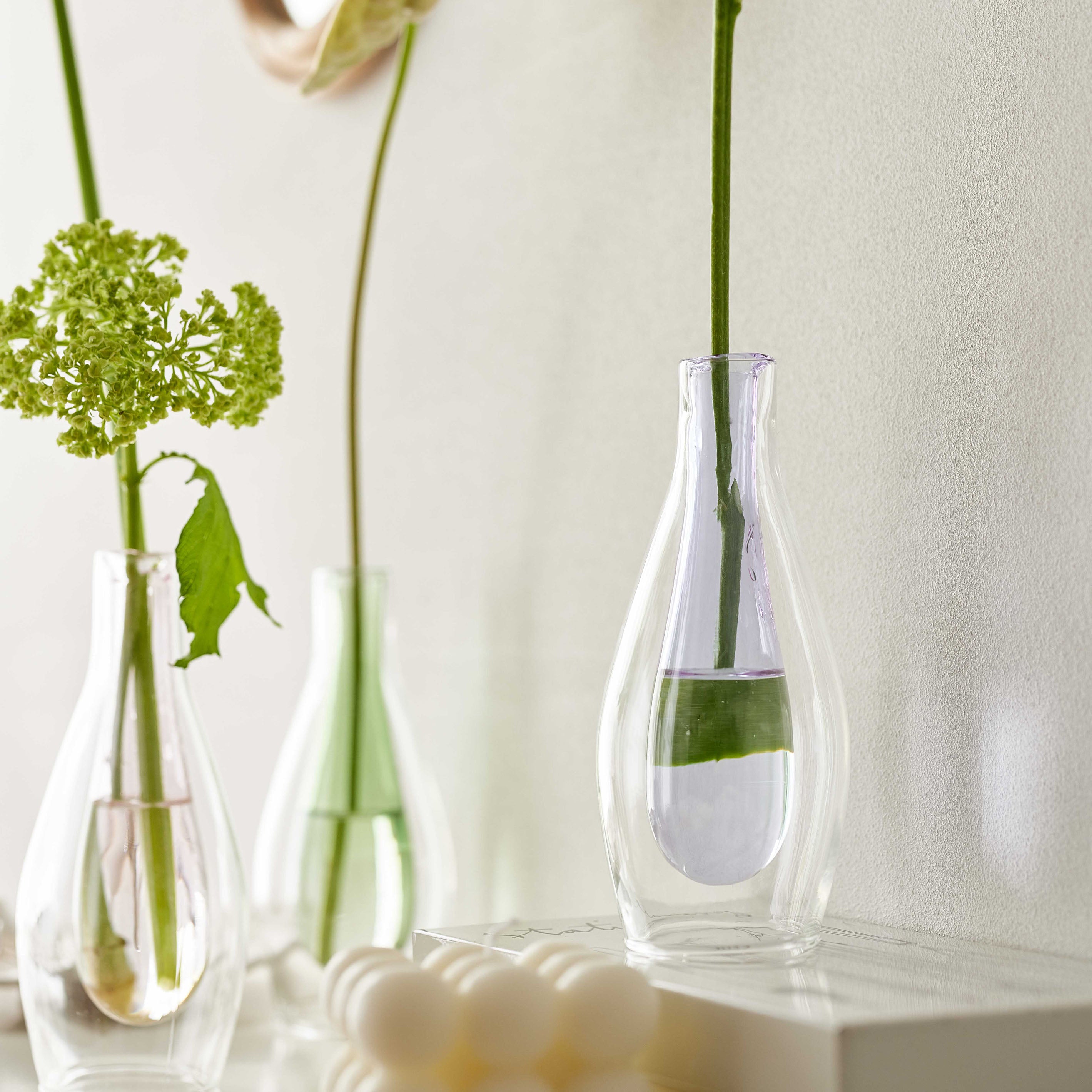 初心者にもおすすめ!ダブルガラスが おしゃれで可愛い一輪挿し【pisara - ピサラ】