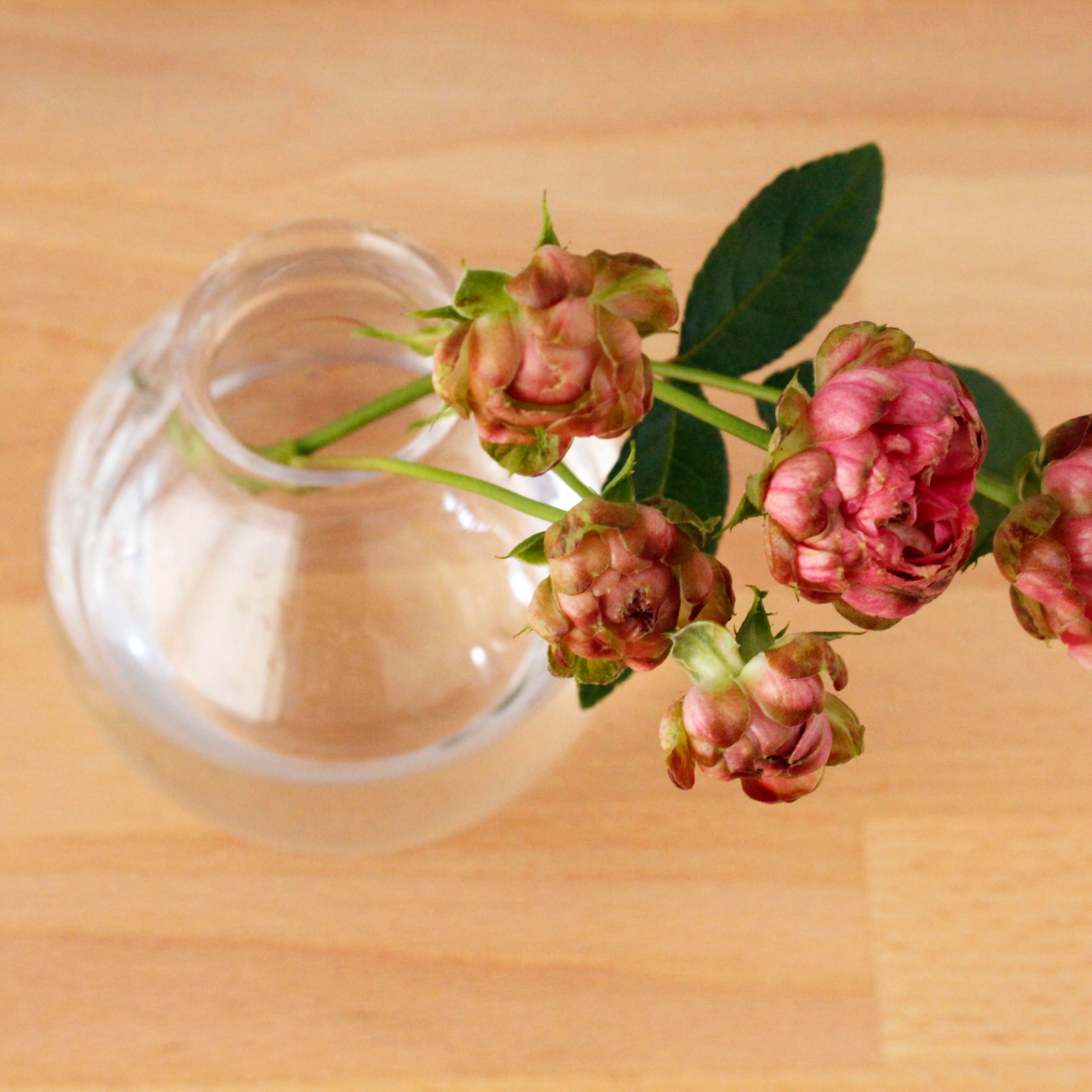 短い花におすすめ、小さなガラスの一輪挿し【courbe mini - クルブミニ】