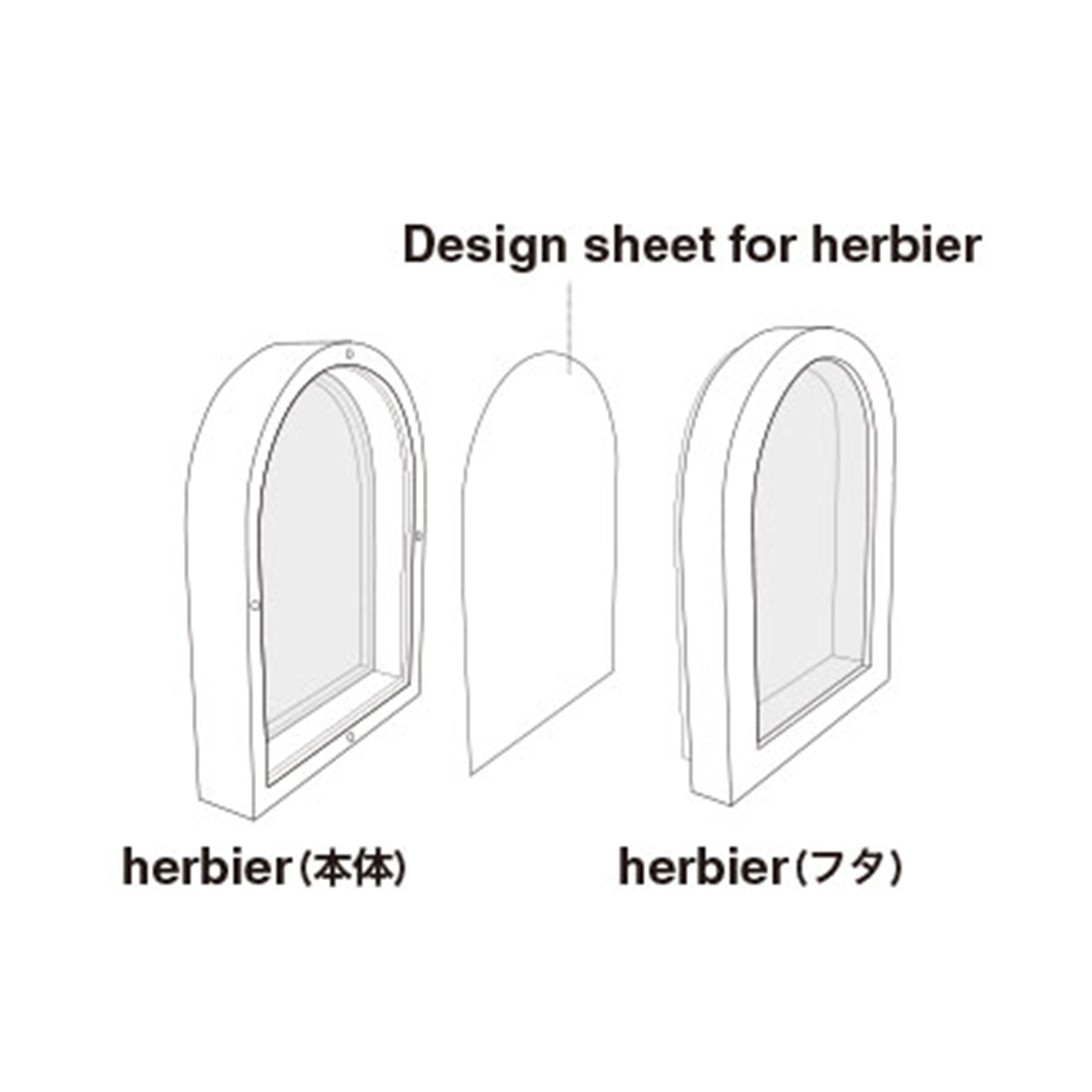 インテリアに最適！標本フレームみたいな【herbier arch - エルビエ アーチ】